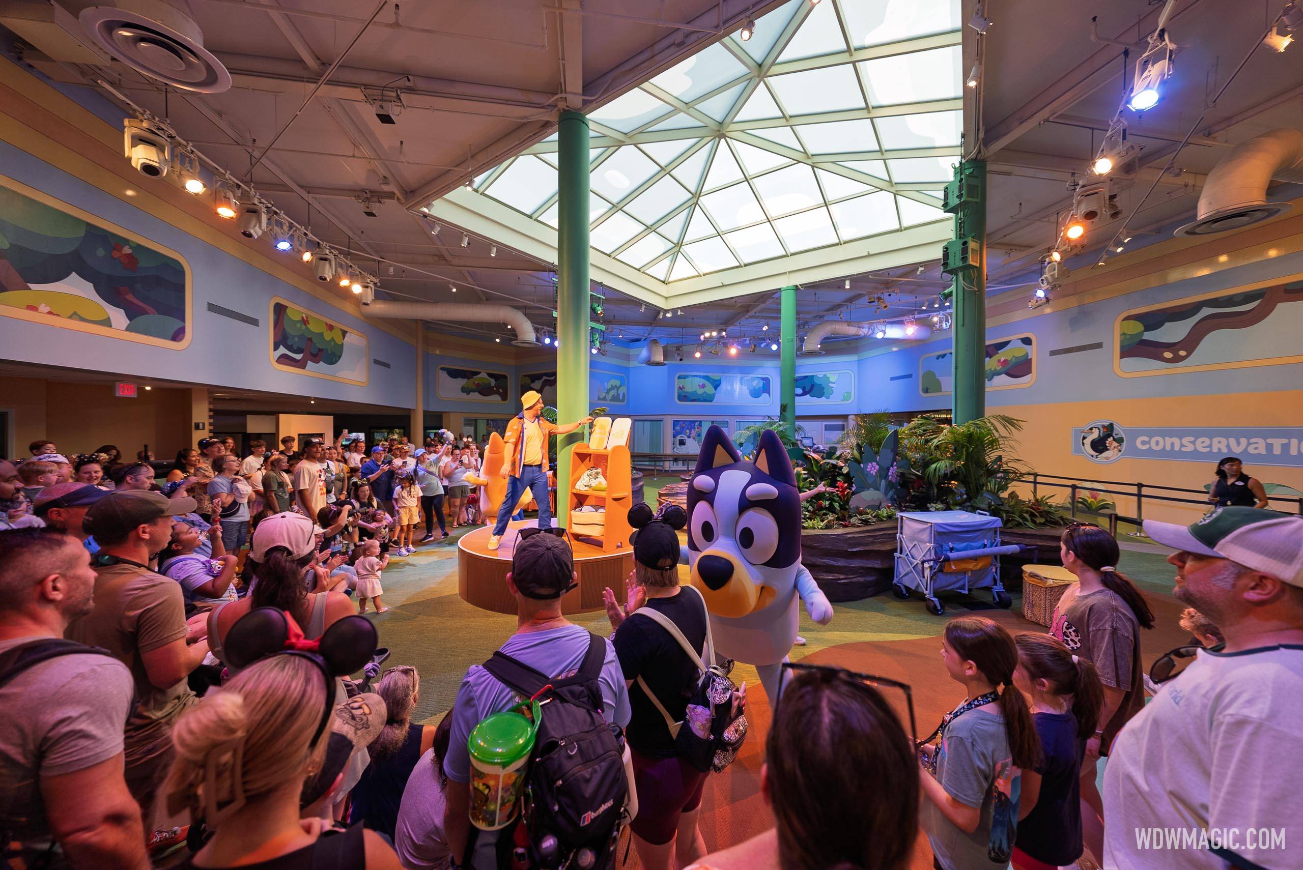 Bluey's Wild World at Conservation Station