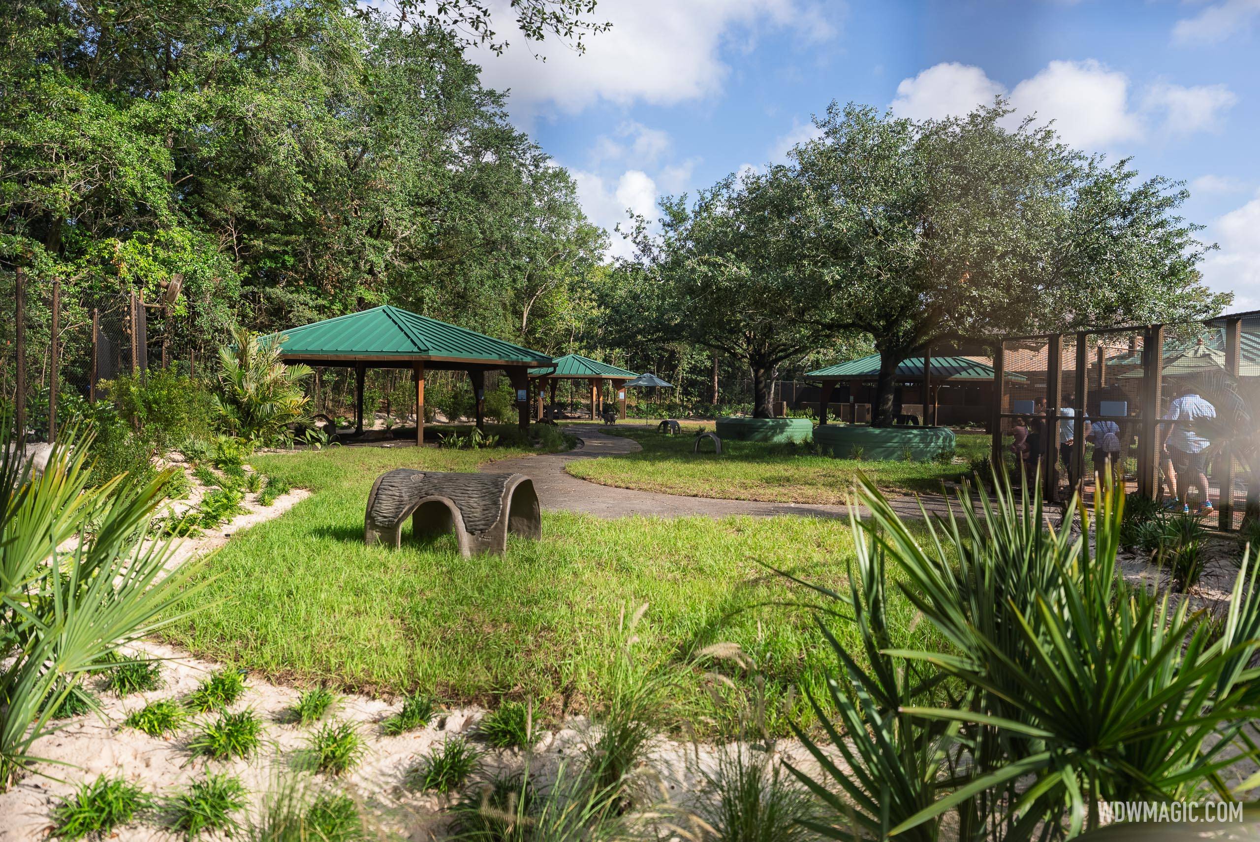 Animal Exhibits at Jumping Junction