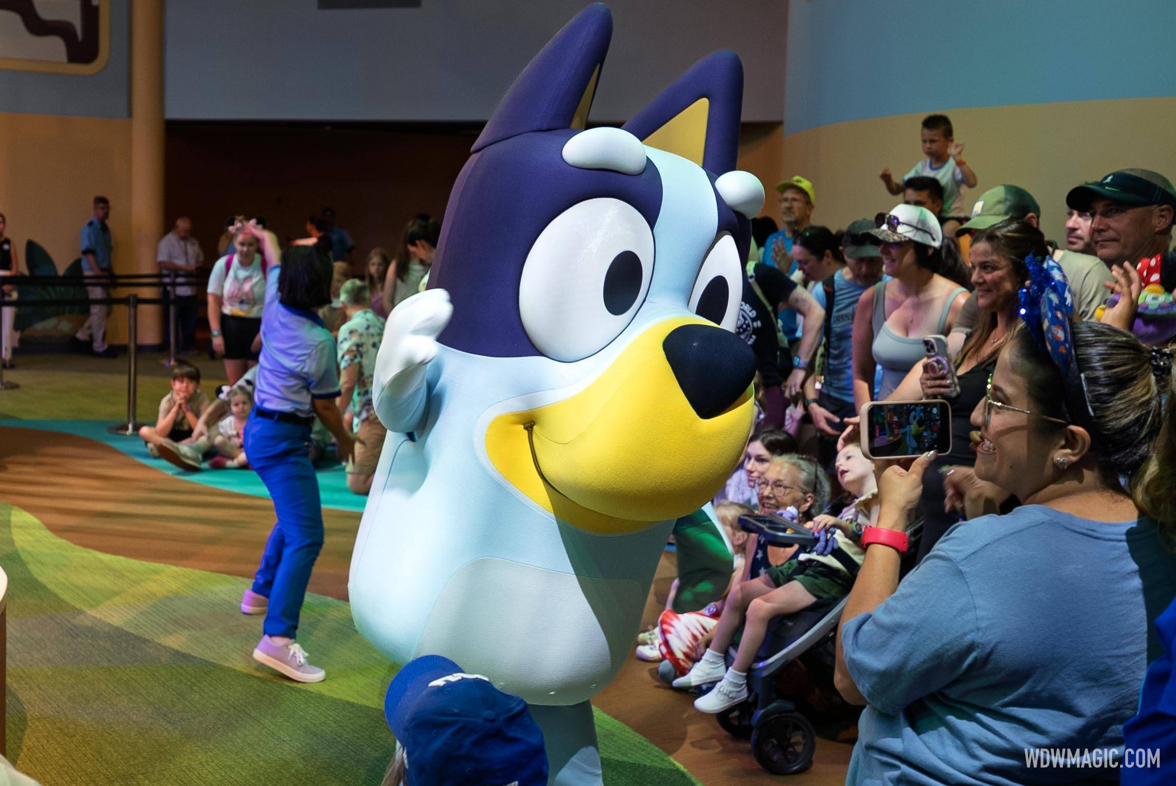 Bluey