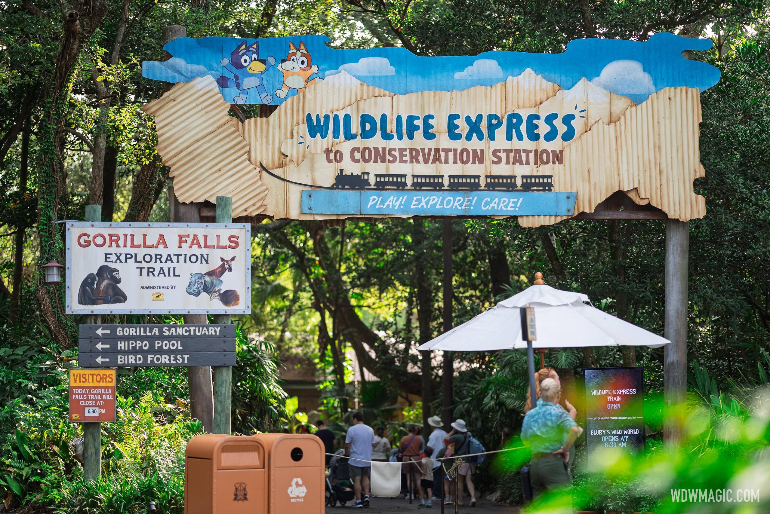 Bluey's Wild World Standby Queue Day One at Disney's Animal Kingdom