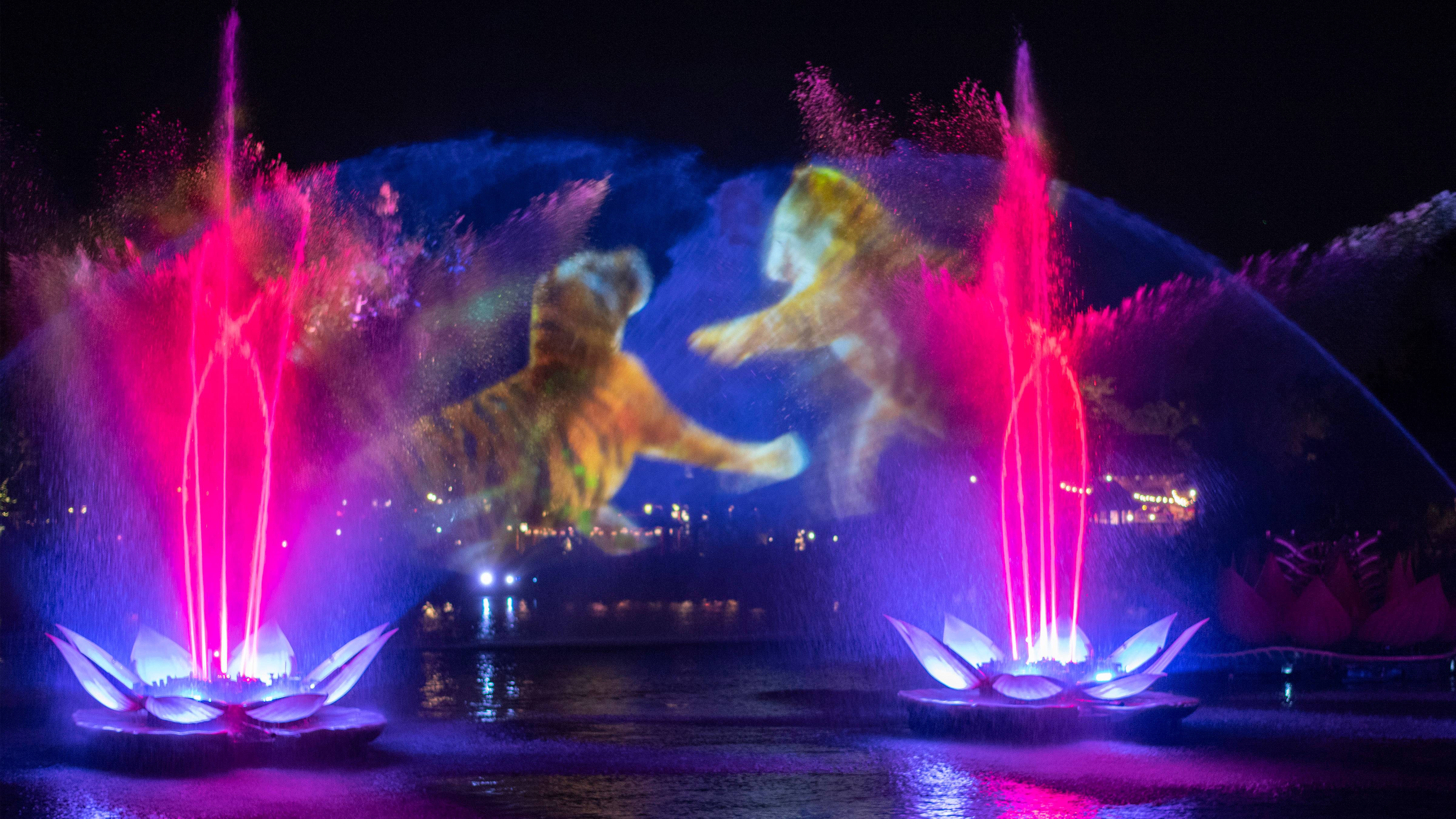Rivers of Light We Are One show