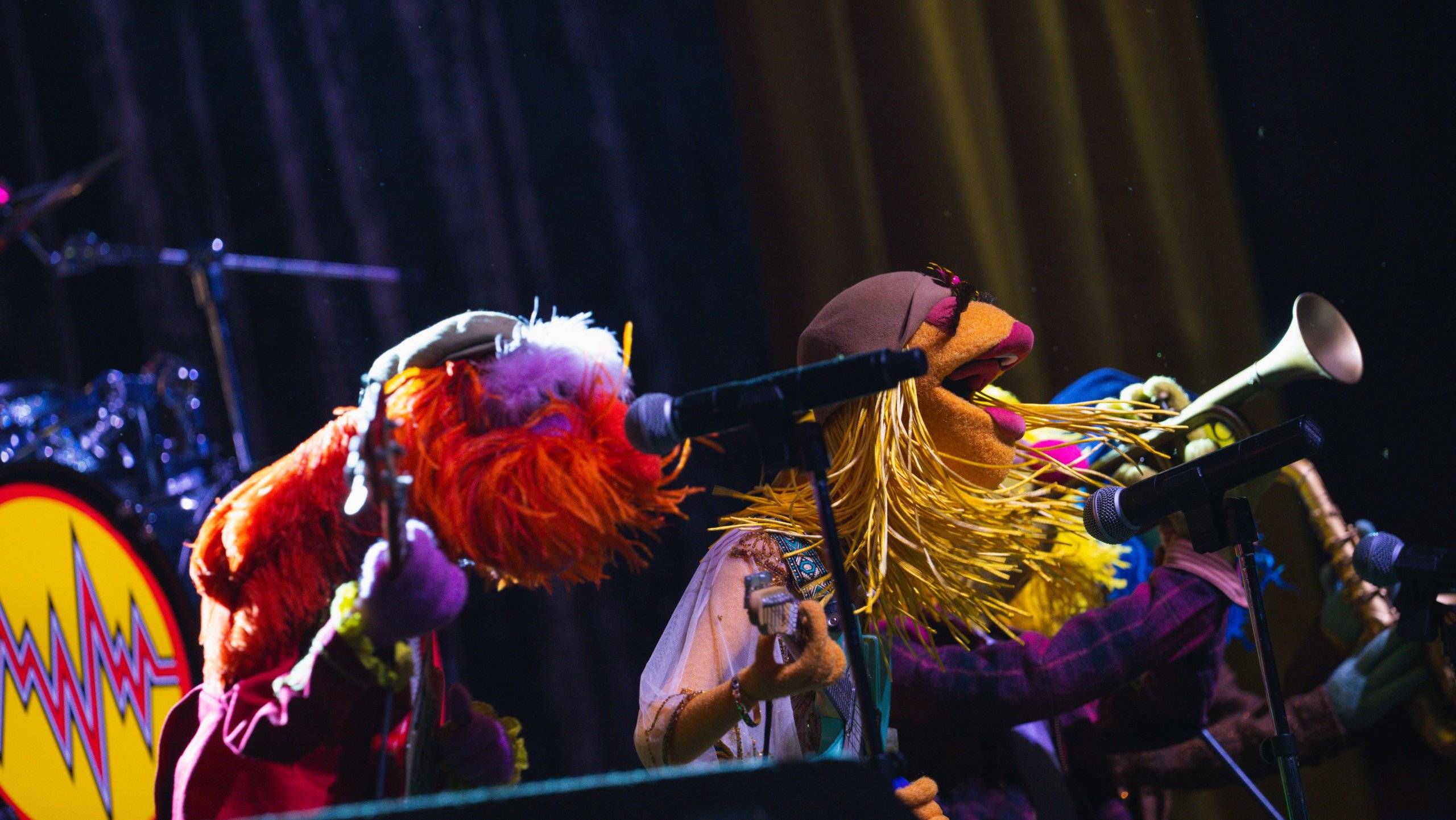 Electric Mayhem Performing 'Can You Picture That?' at Rock 'n' Roller Coaster