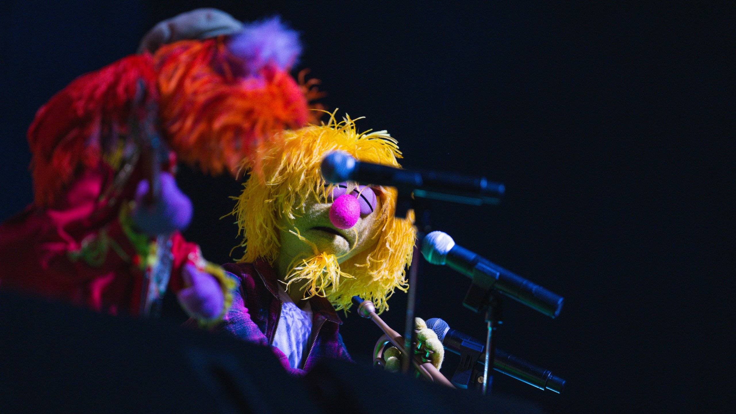 Electric Mayhem Performing 'Can You Picture That?' at Rock 'n' Roller Coaster