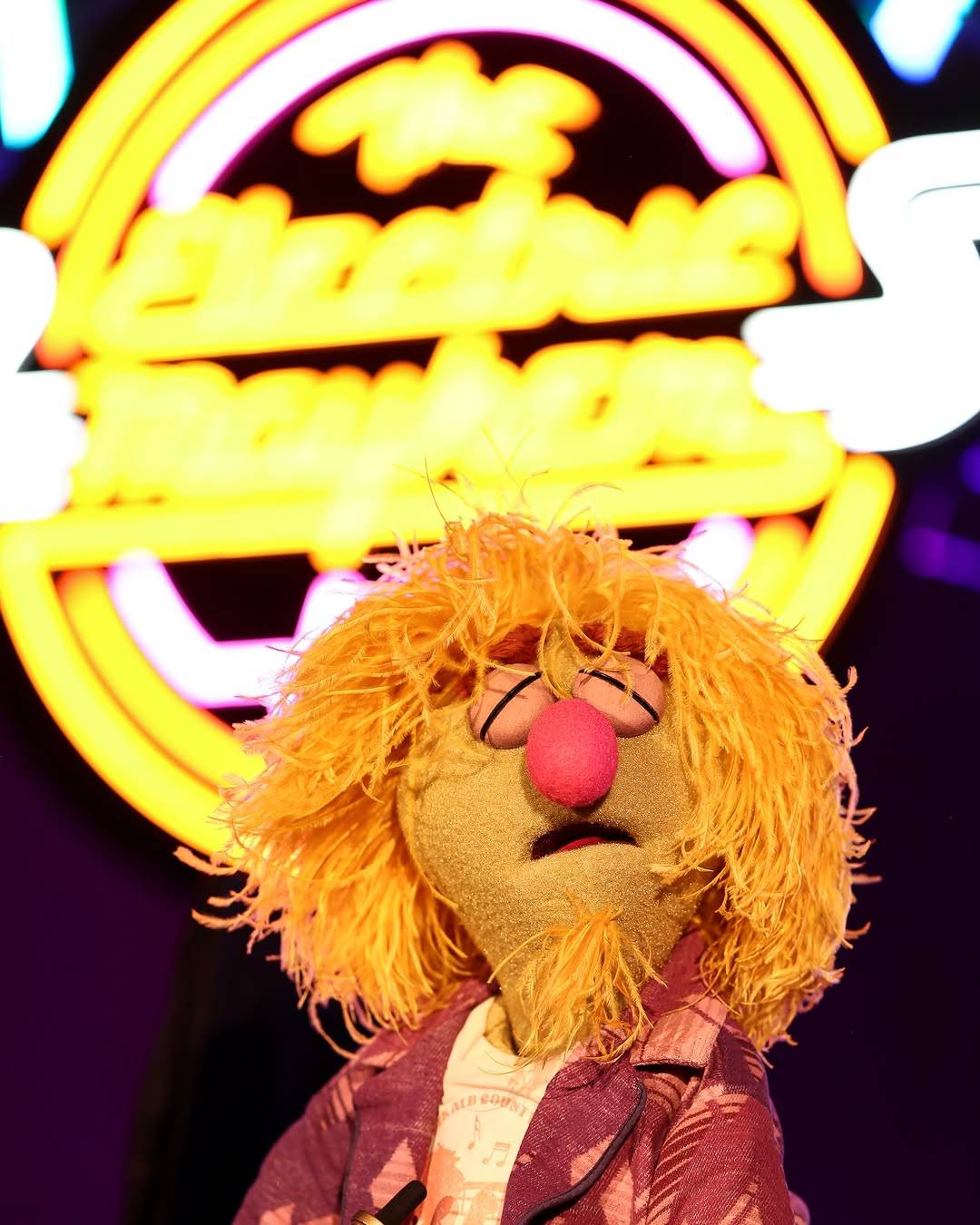 Electric Mayhem Live at Rock 'n' Roller Coaster Media Grand Opening