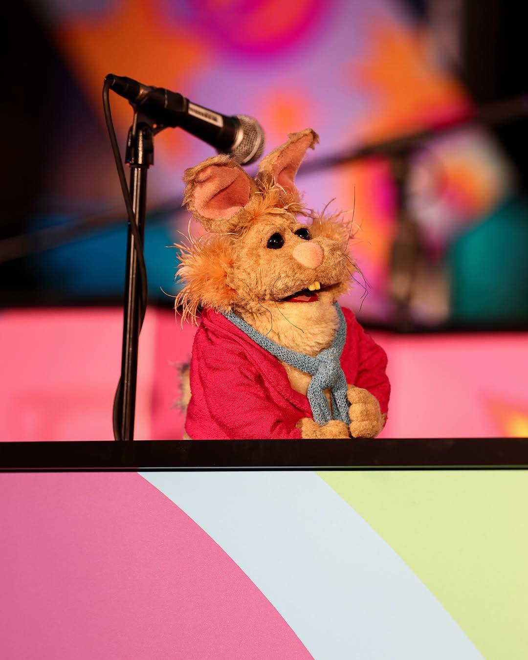 Electric Mayhem Live at Rock 'n' Roller Coaster Media Grand Opening