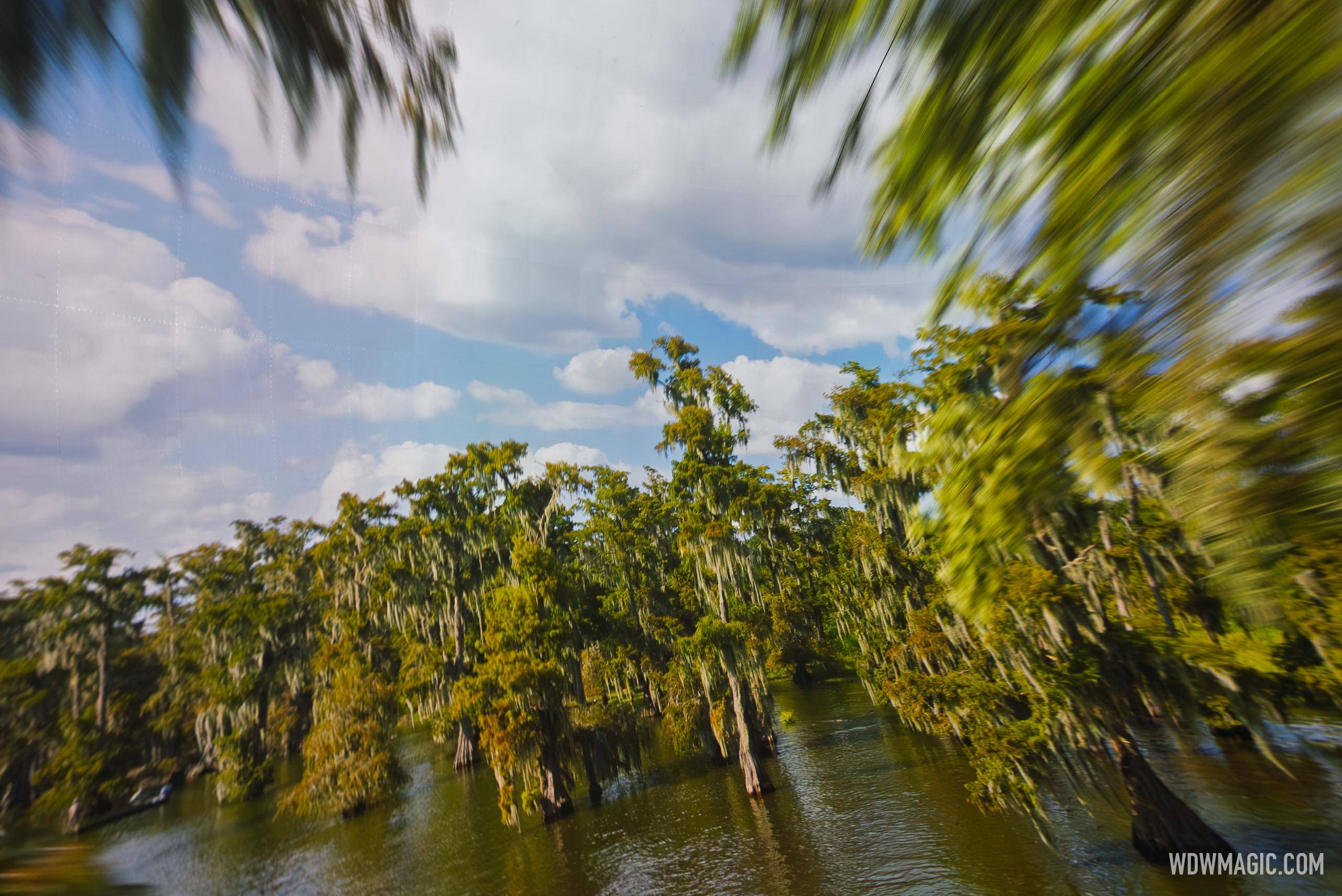 Louisiana bayou