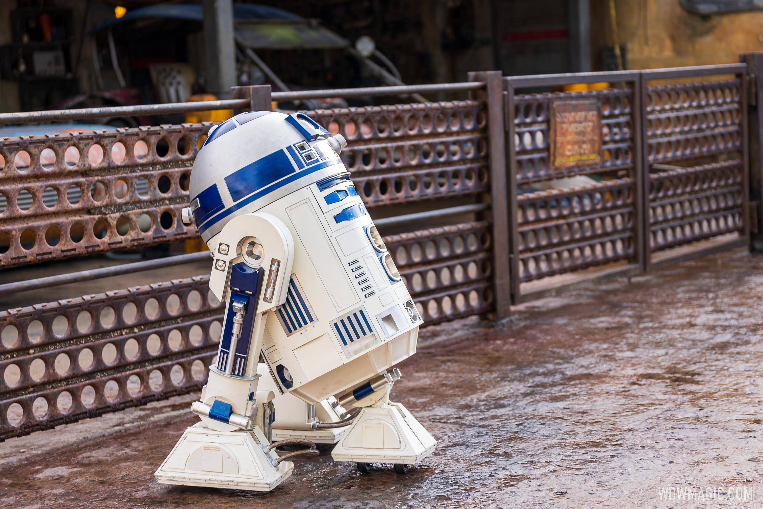 R2-D2 meets guests at Star Wars Galaxy's Edge in Walt Disney World