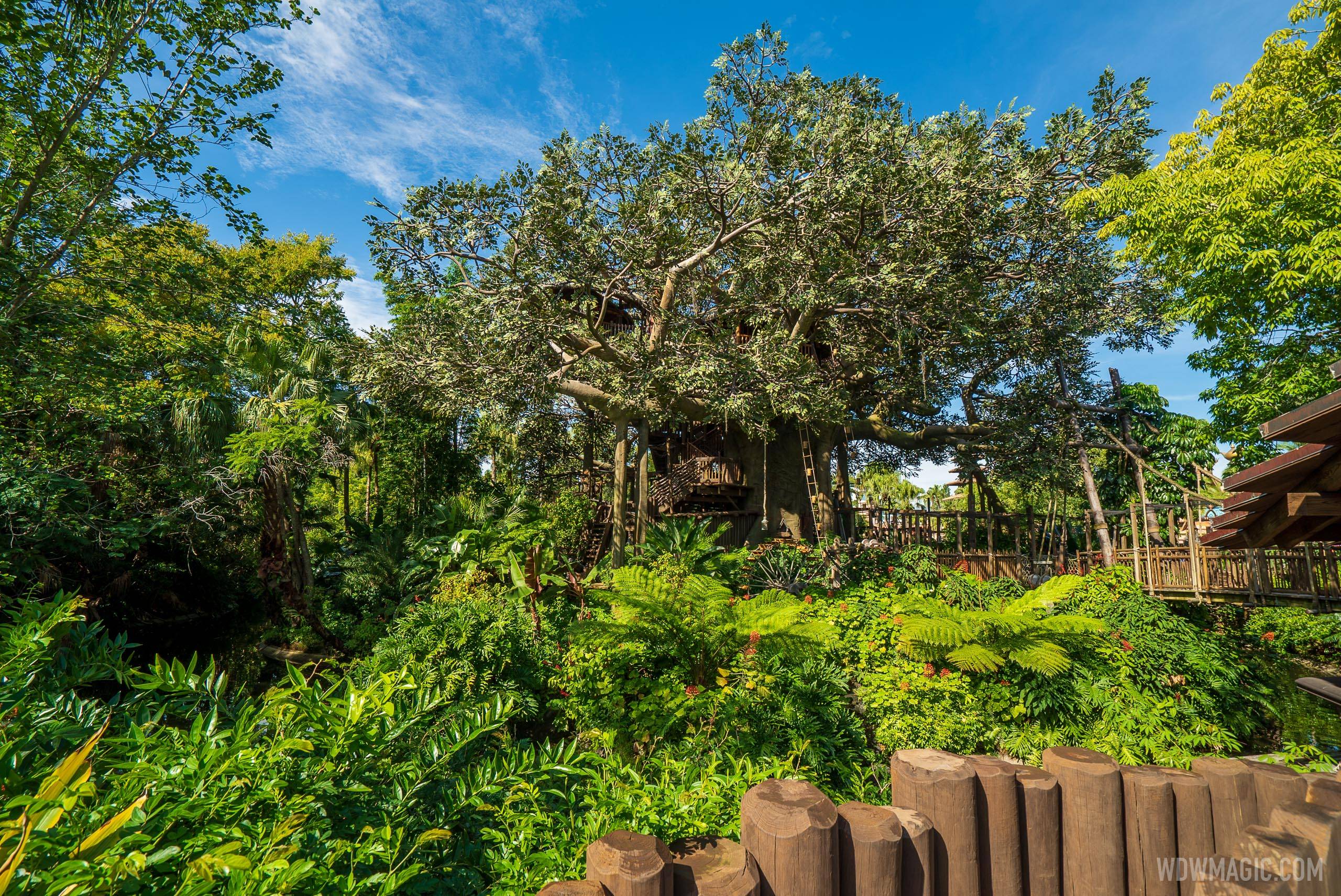 Swiss Family Treehouse refurbishment extended by a few days