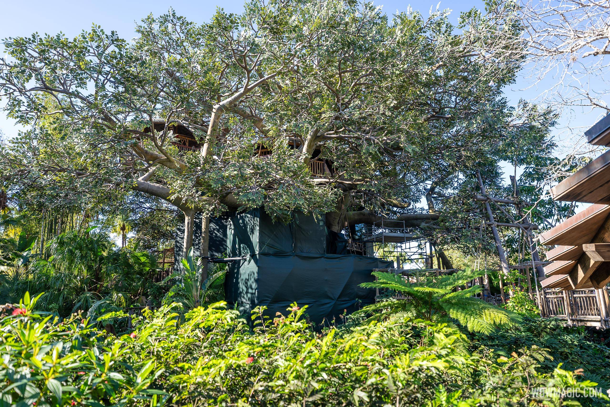 Swiss Family Treehouse Refurbishment December 2024