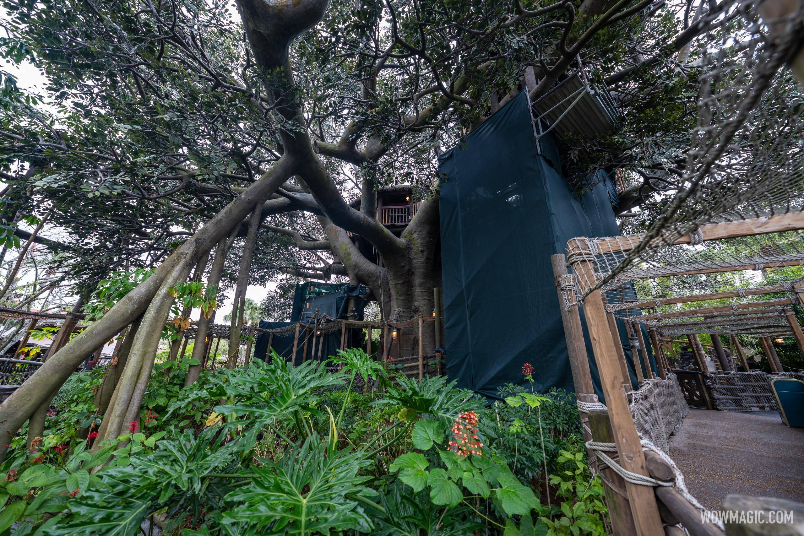 Swiss Family Treehouse Refurbishment Late December 2024