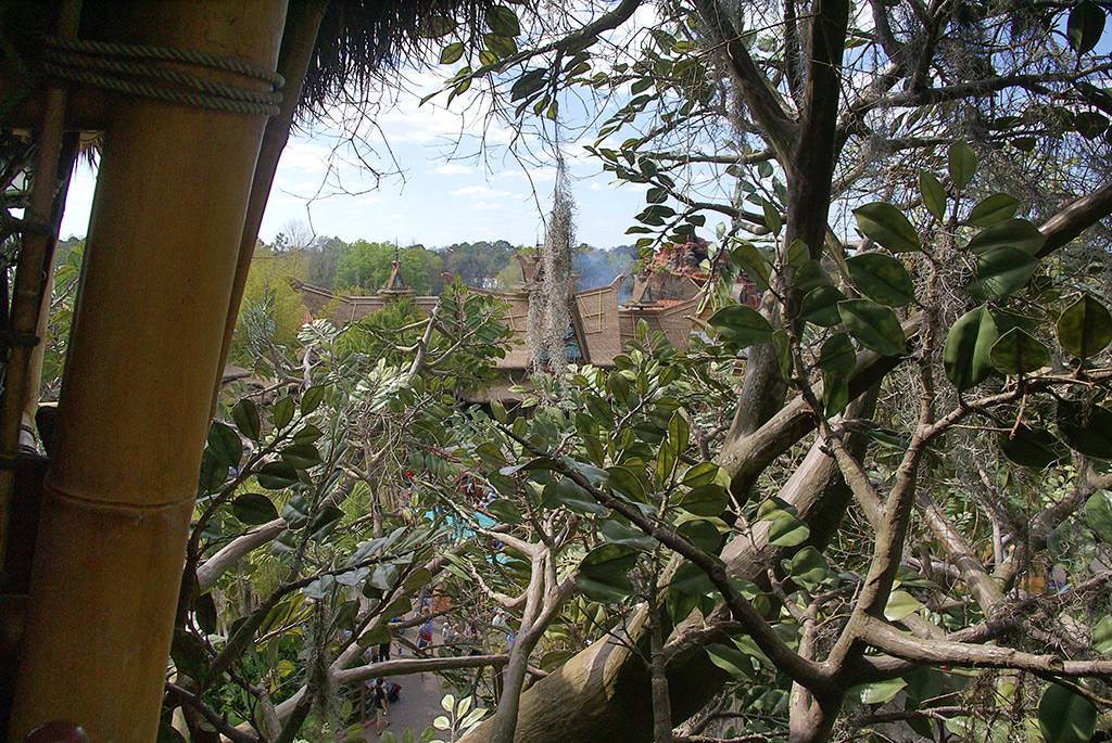 Inside the Swiss Family Treehouse and the view from the top
