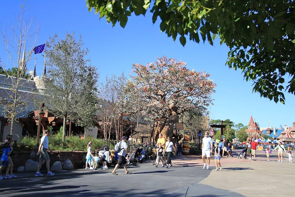 Photos - Many Adventures of Winnie the Pooh queue area now open and construction wall free