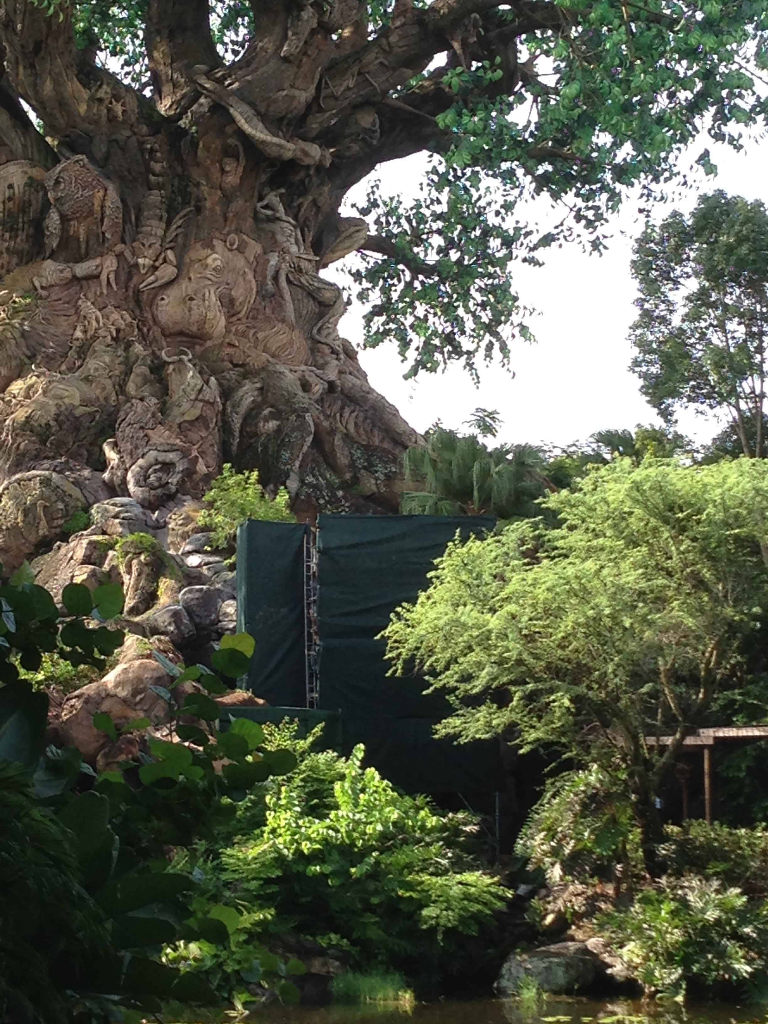 PHOTOS - High reach crane working on Tree of Life during Tough to Be a Bug refurbishment