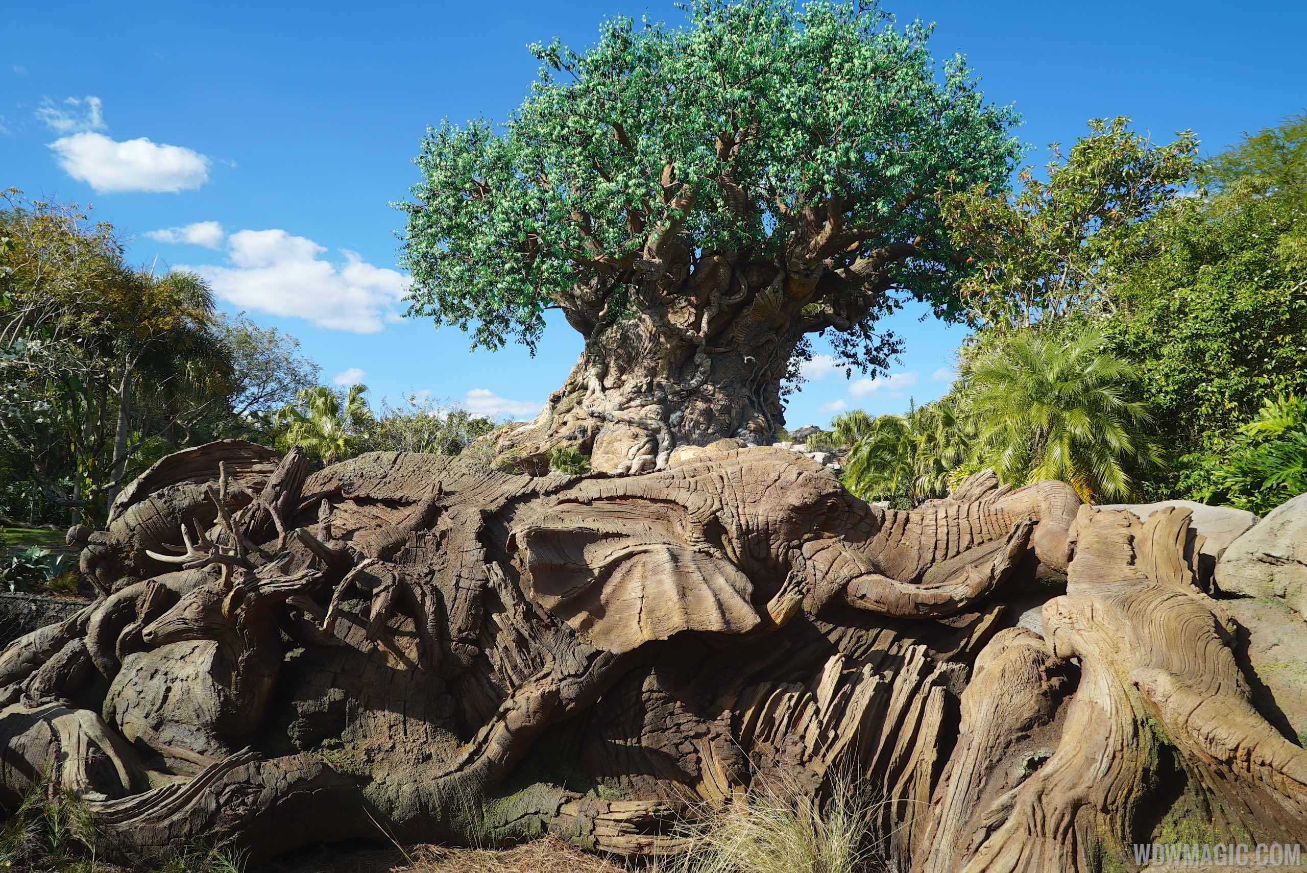 PHOTOS and VIDEO - New roots expand the Tree of Life at Disney's Animal Kingdom