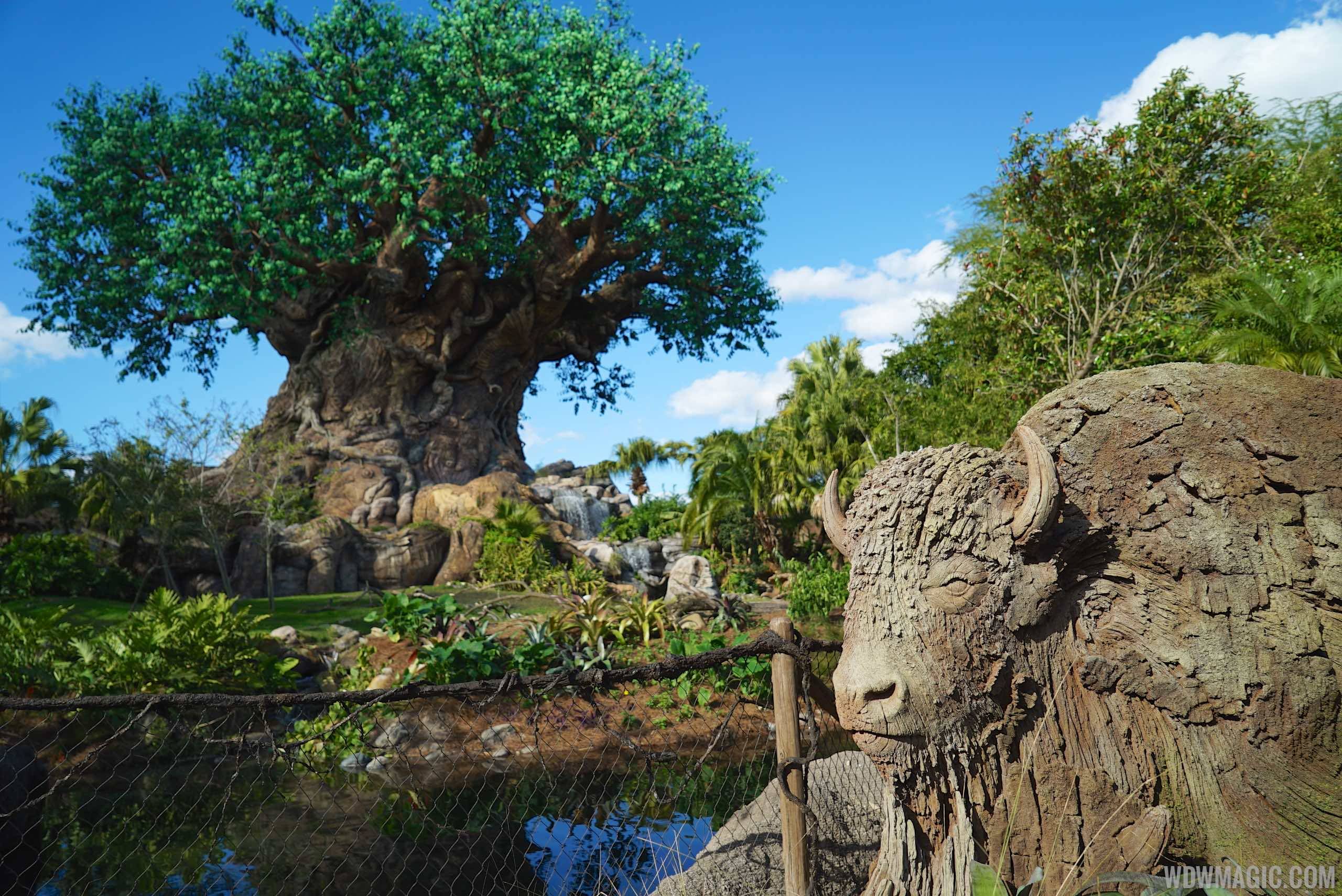 PHOTOS and VIDEO - New roots expand the Tree of Life at Disney's Animal Kingdom