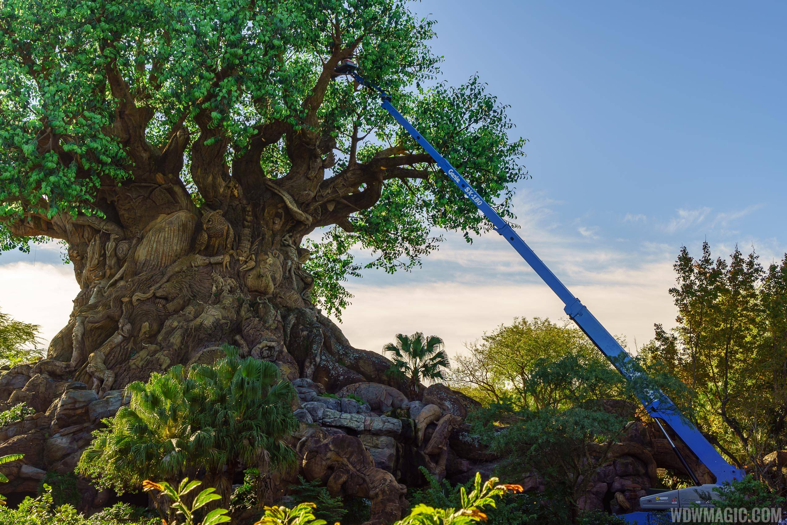 Crane working on the Tree of Life