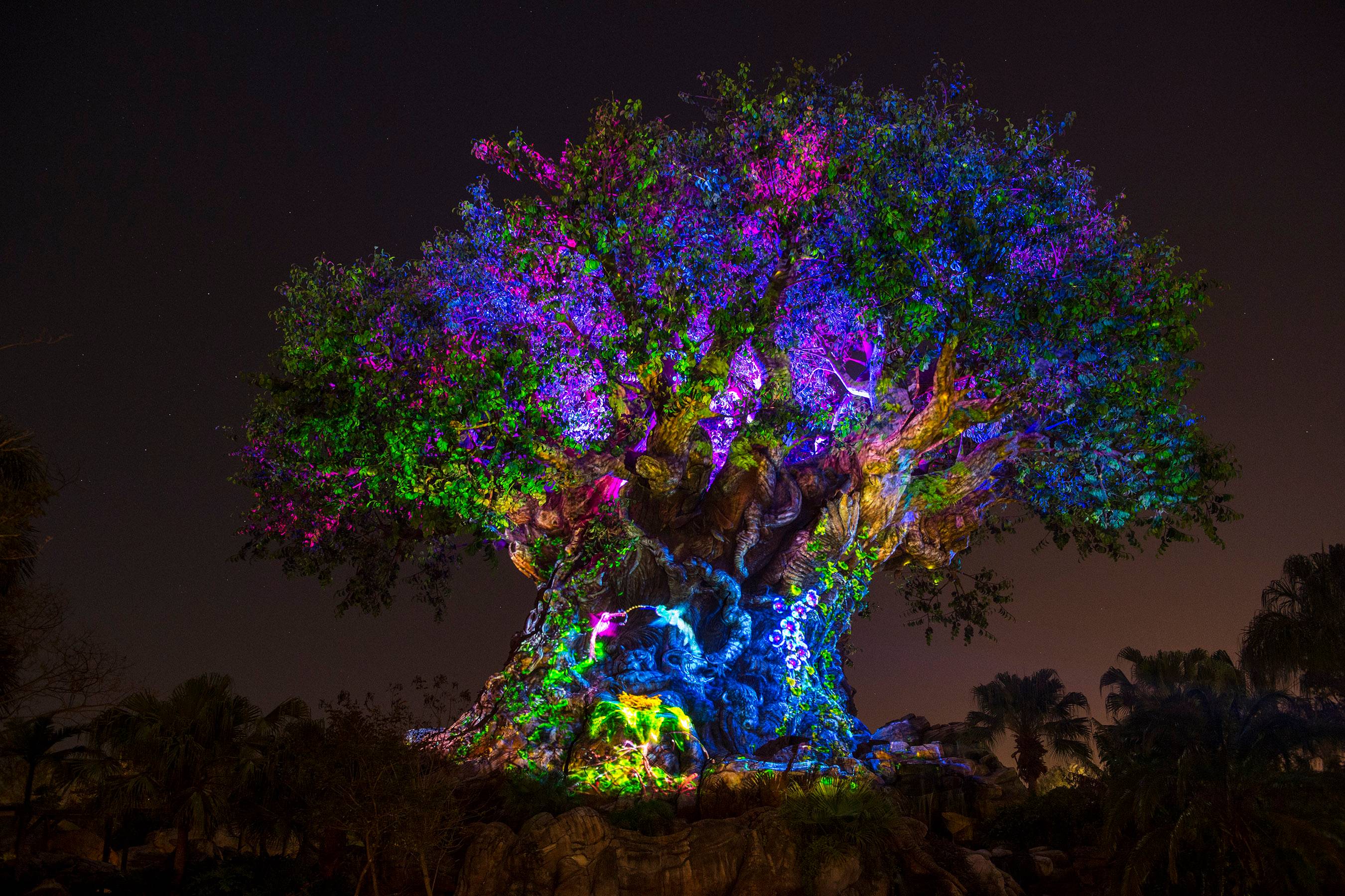 VIDEO - The Tree of Life Awakens at Disney's Animal Kingdom