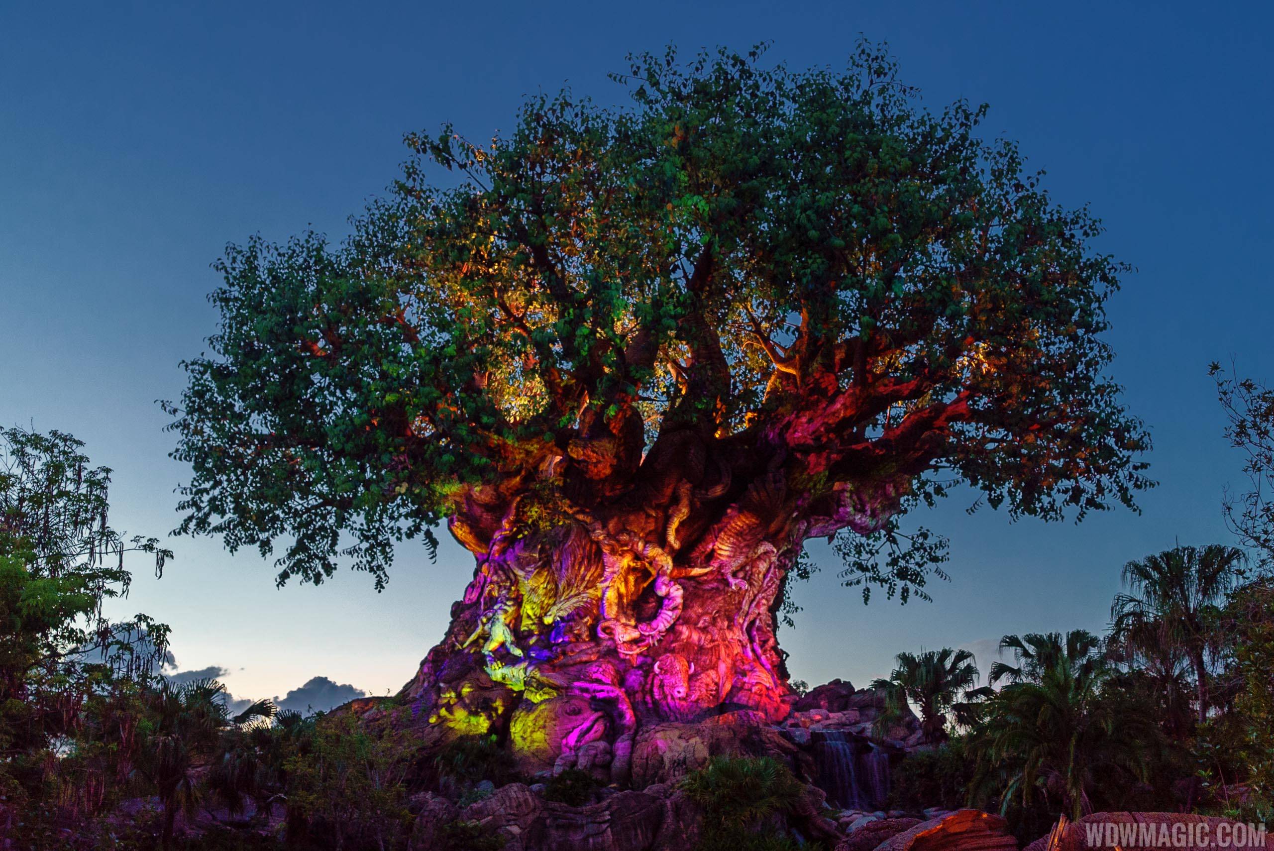 VIDEO - Take a time-lapse look at the building of the Tree of Life at Disney's Animal Kingdom