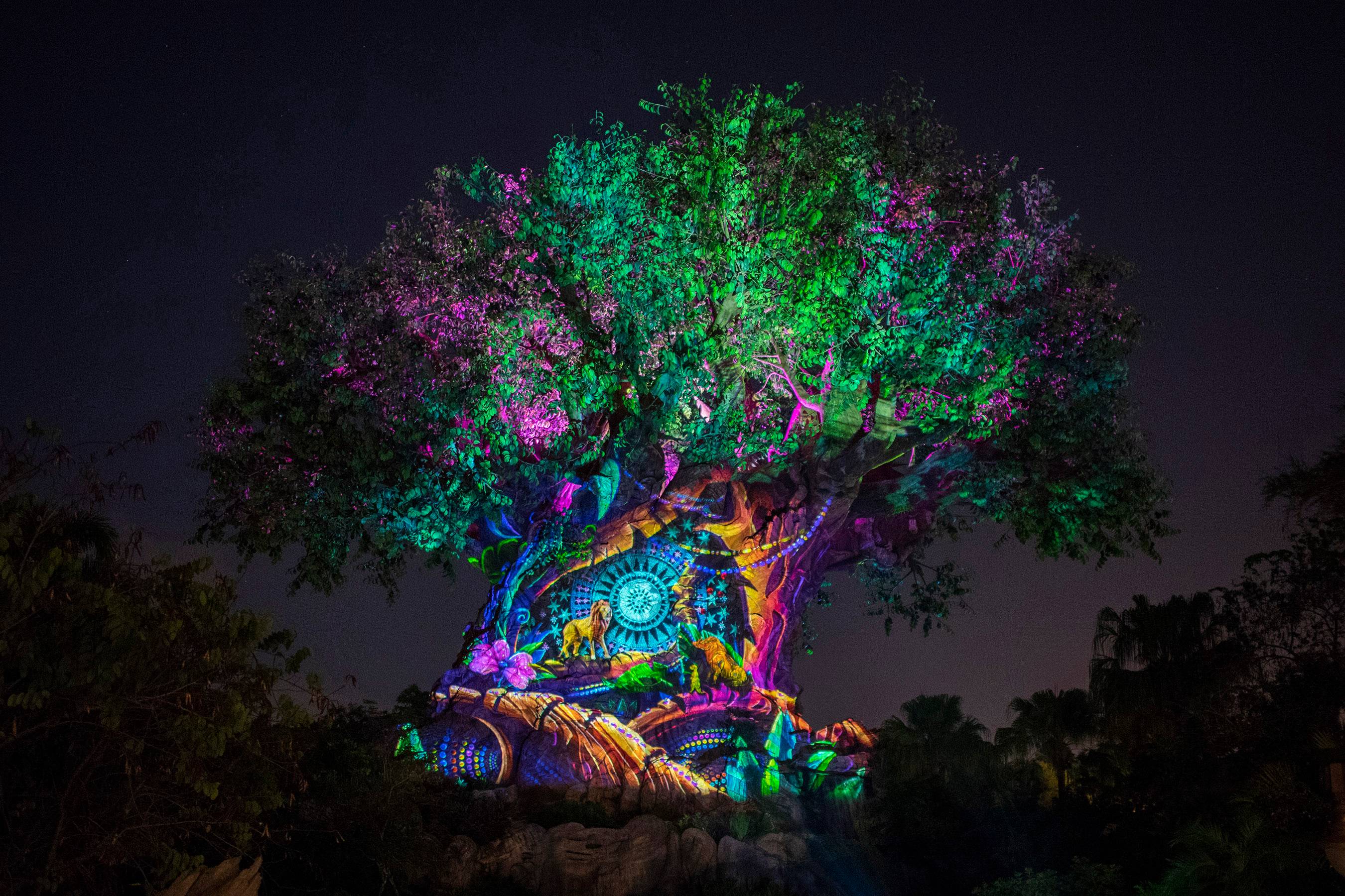 Tree of Life Awakens Lion King story