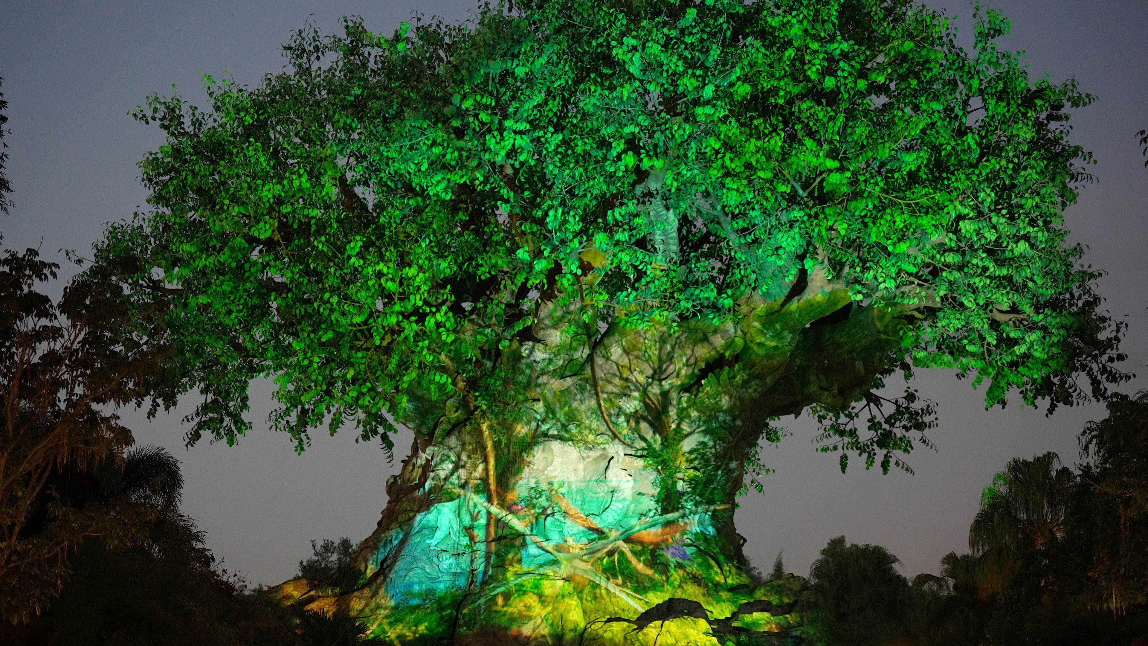 Tree of Life Awakens - 'Avatar: The Way of Water' projection show