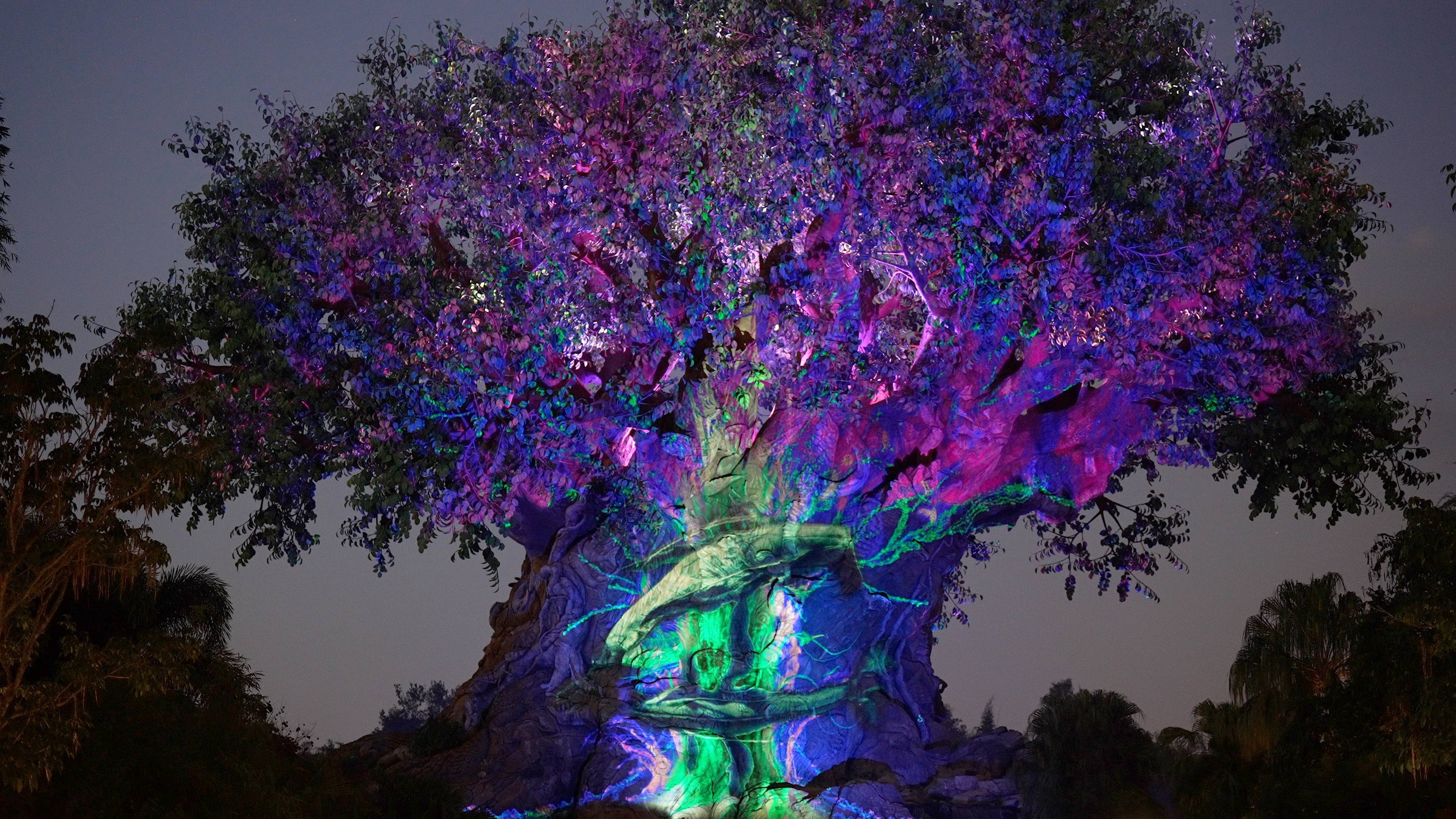 'Avatar: The Way of Water' projection show is now playing on the Tree of Life at Disney's Animal Kingdom