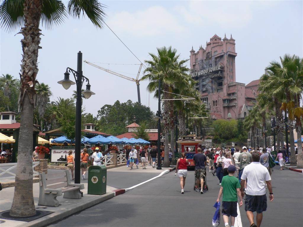 Crane by Tower of Terror