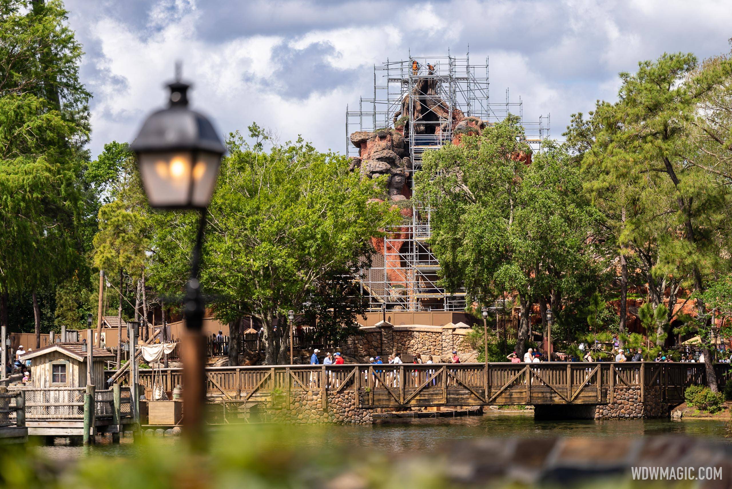 Top of the tree lopped from the former Splash Mountain as work continues on Tiana's Bayou Adventure