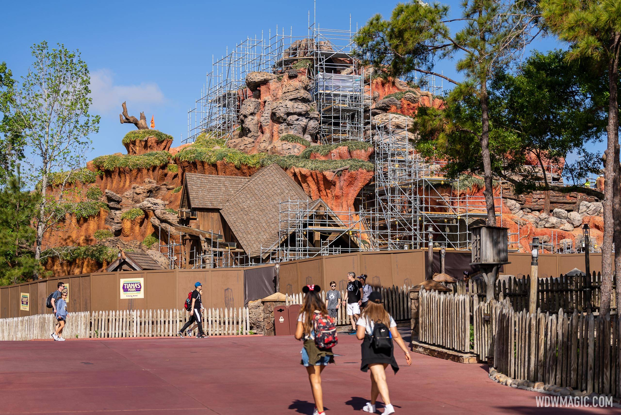 The Splash Mountain Mermaids