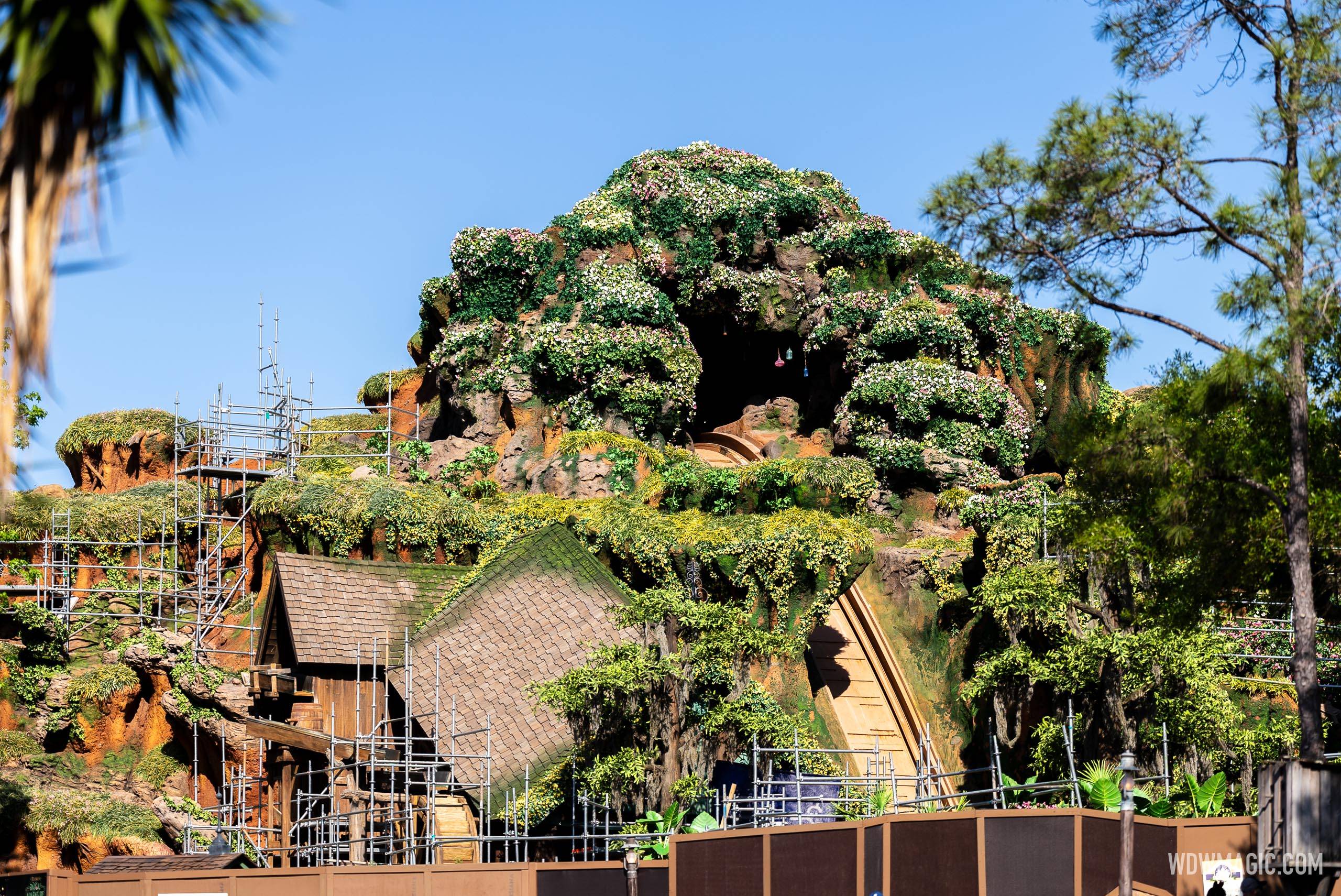 Construction update from Tiana's Bayou Adventure at Walt Disney World