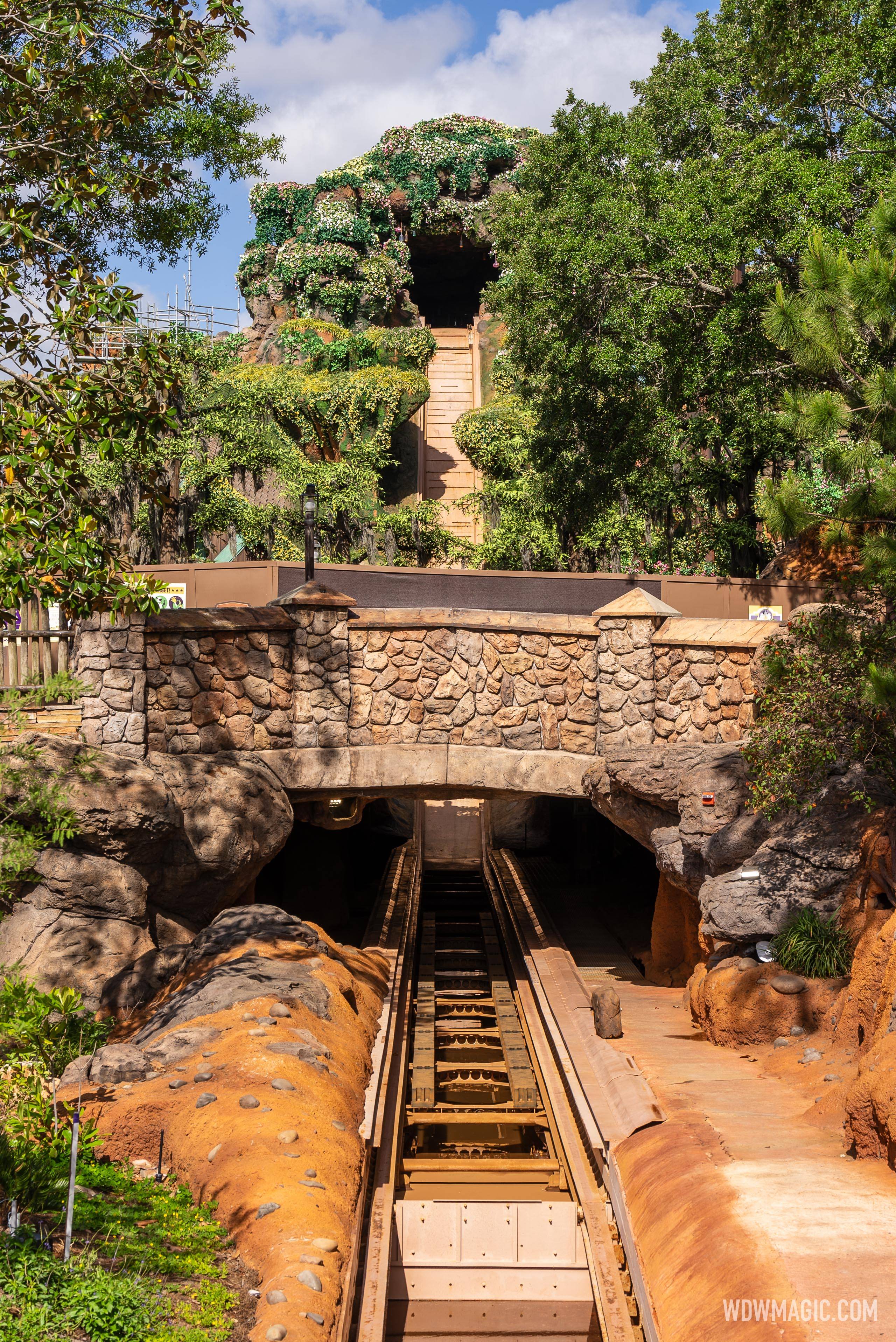 Tiana's Bayou Adventure Disneyland Opening Announced