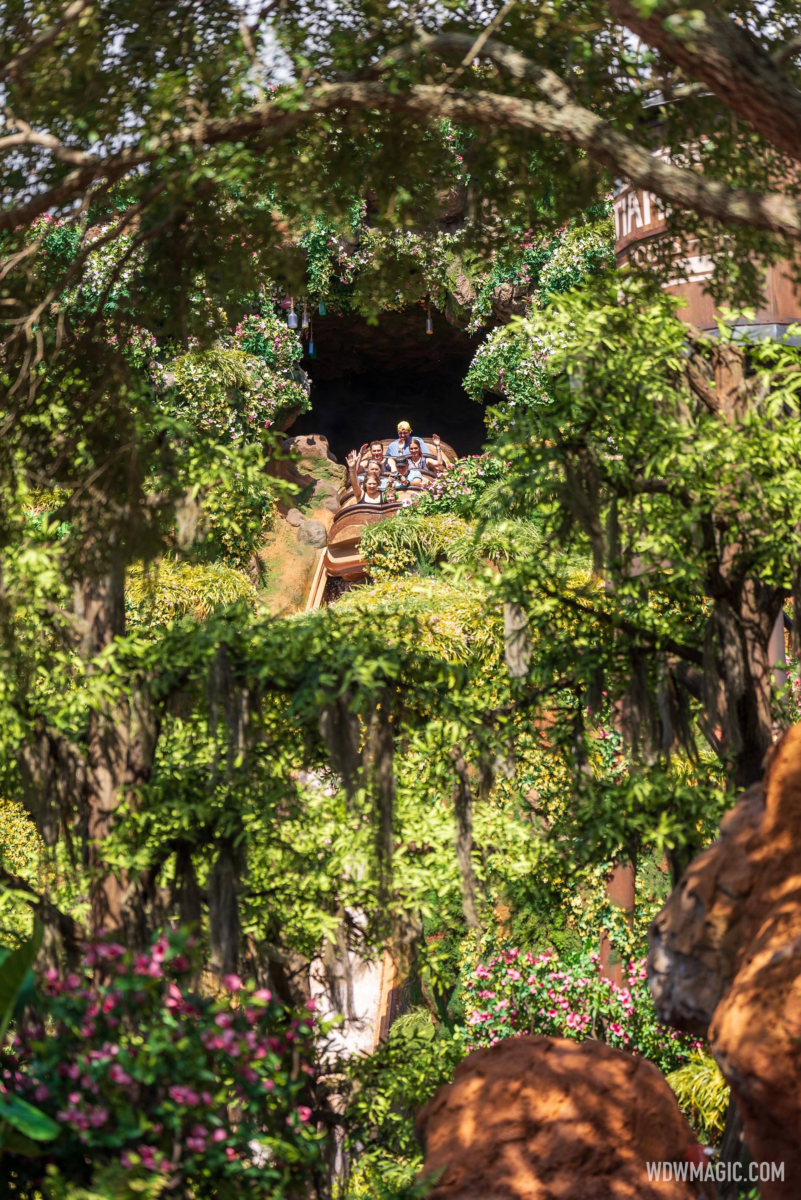 Tiana's Bayou Adventure at Magic Kingdom in Walt Disney World
