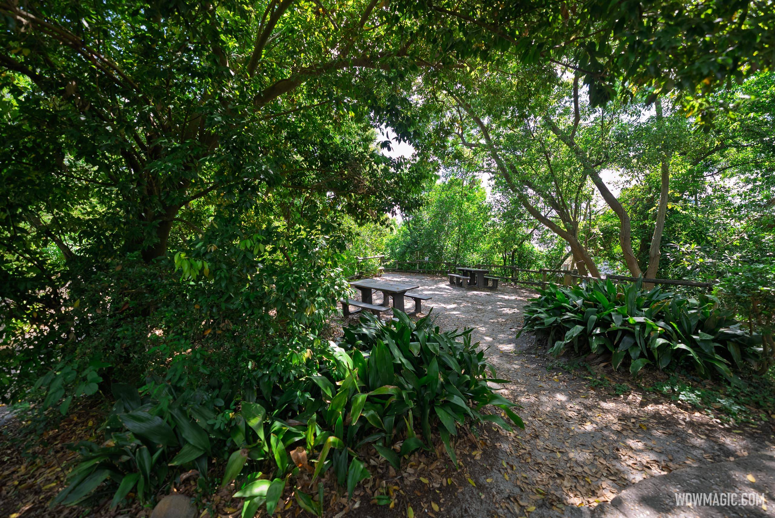 Tom Sawyer Island June 2025