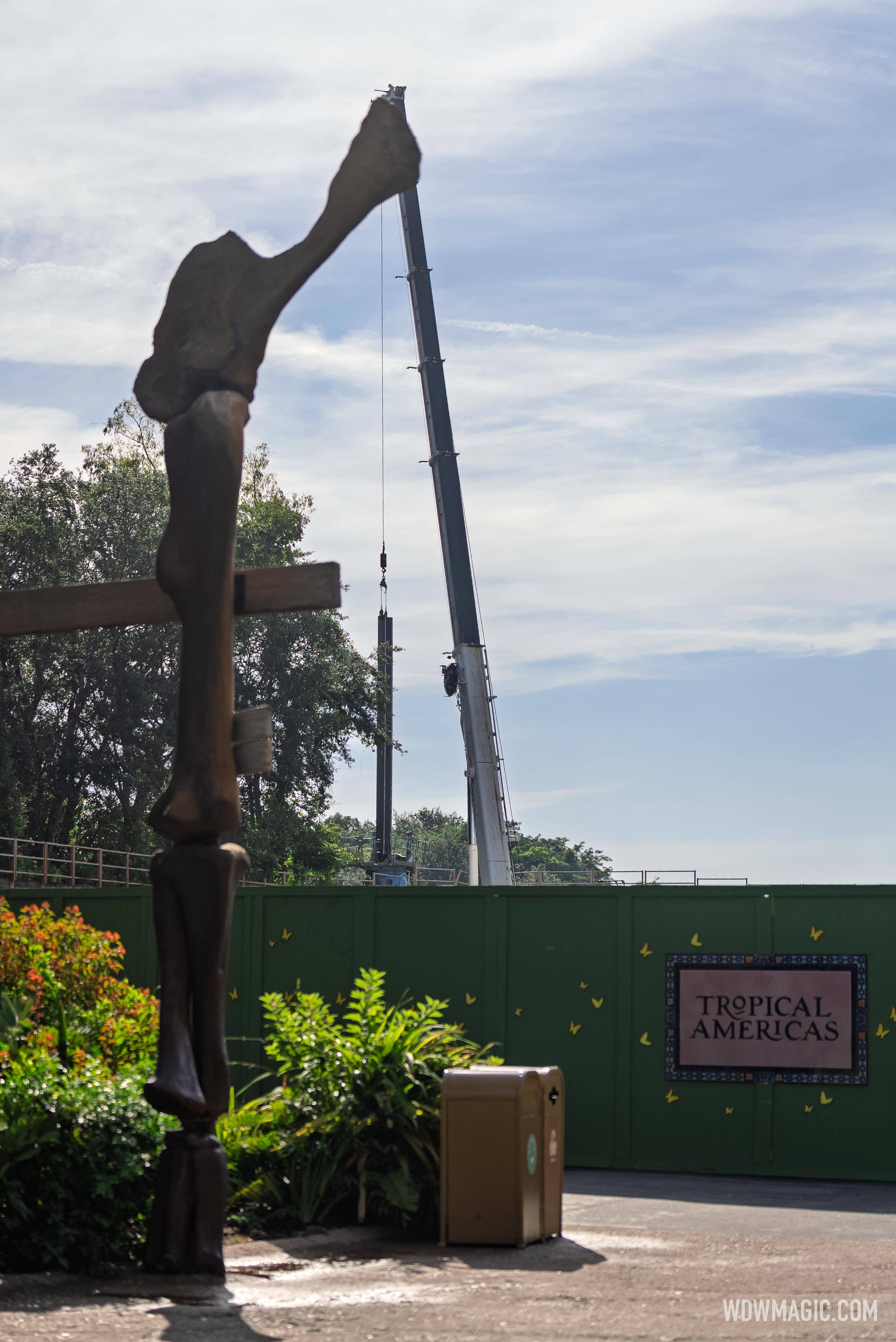 Tropical-Americas_Full_61168.jpg
