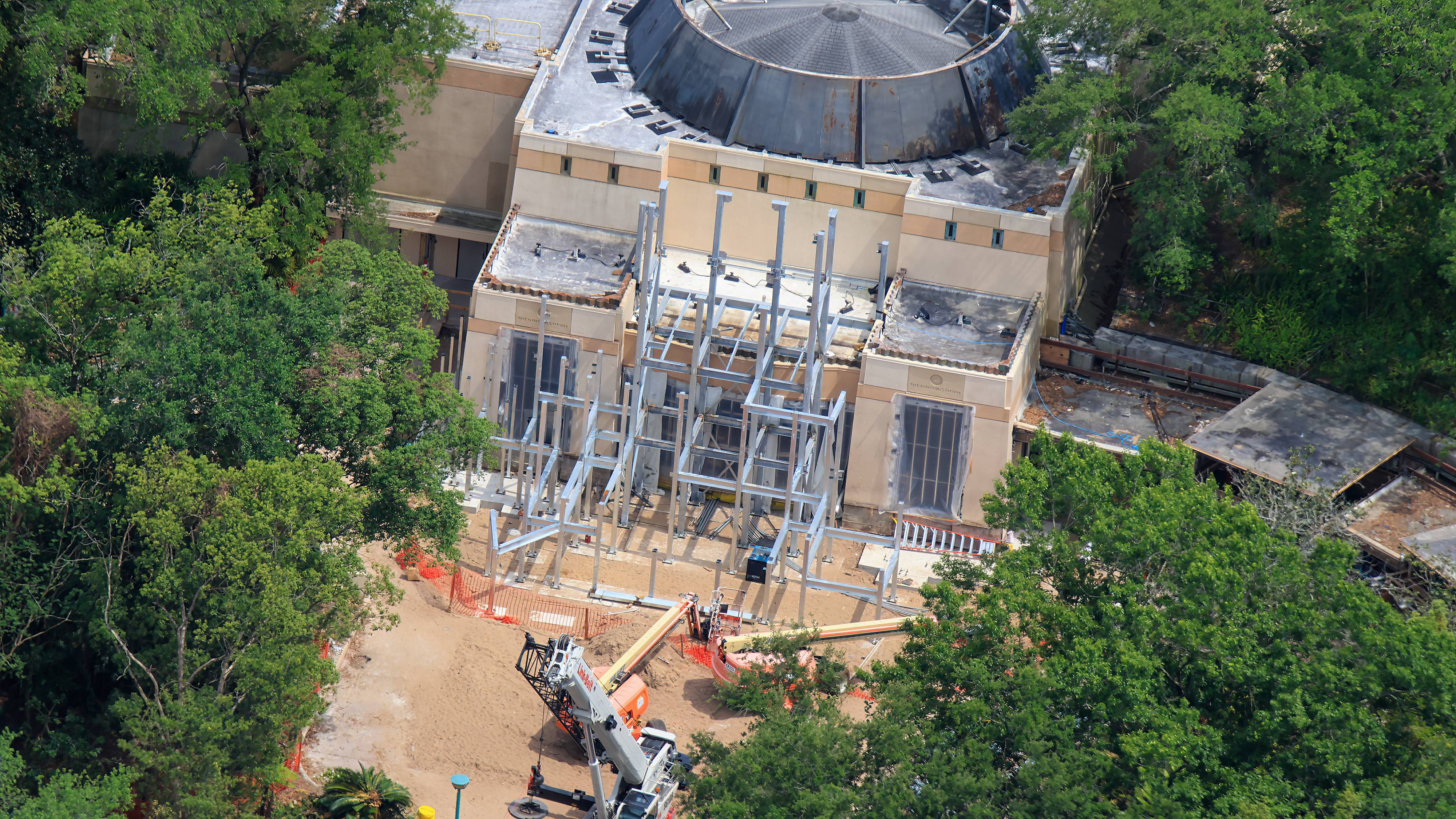 Indiana Jones Entrance Work