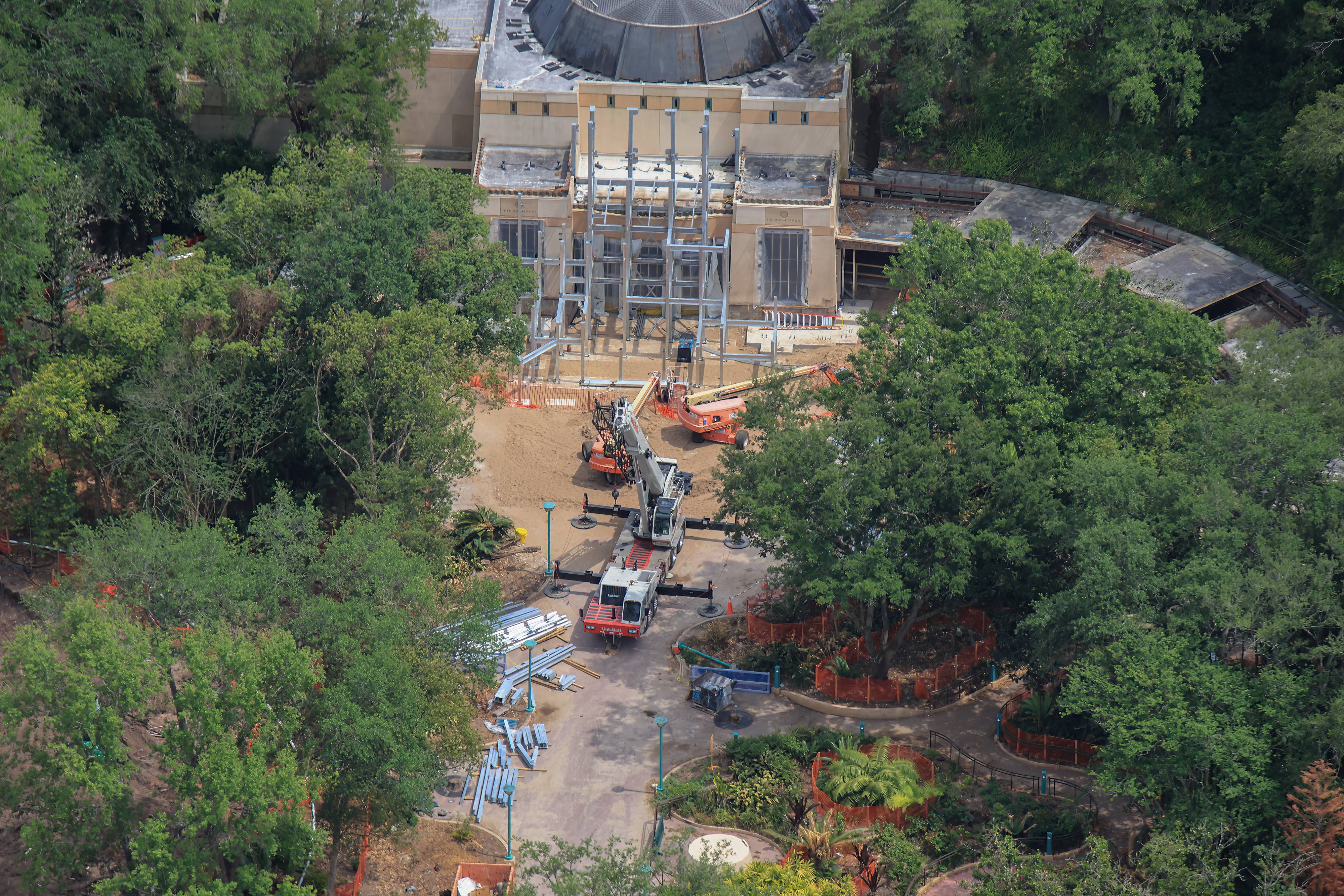 Indiana Jones Entrance Work