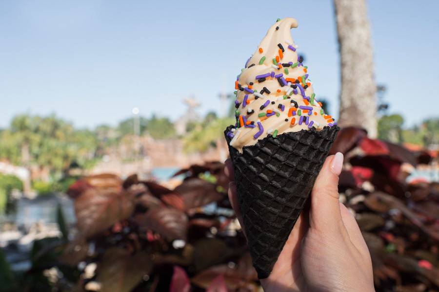 Halloween offerings coming to Typhoon Lagoon water park this year