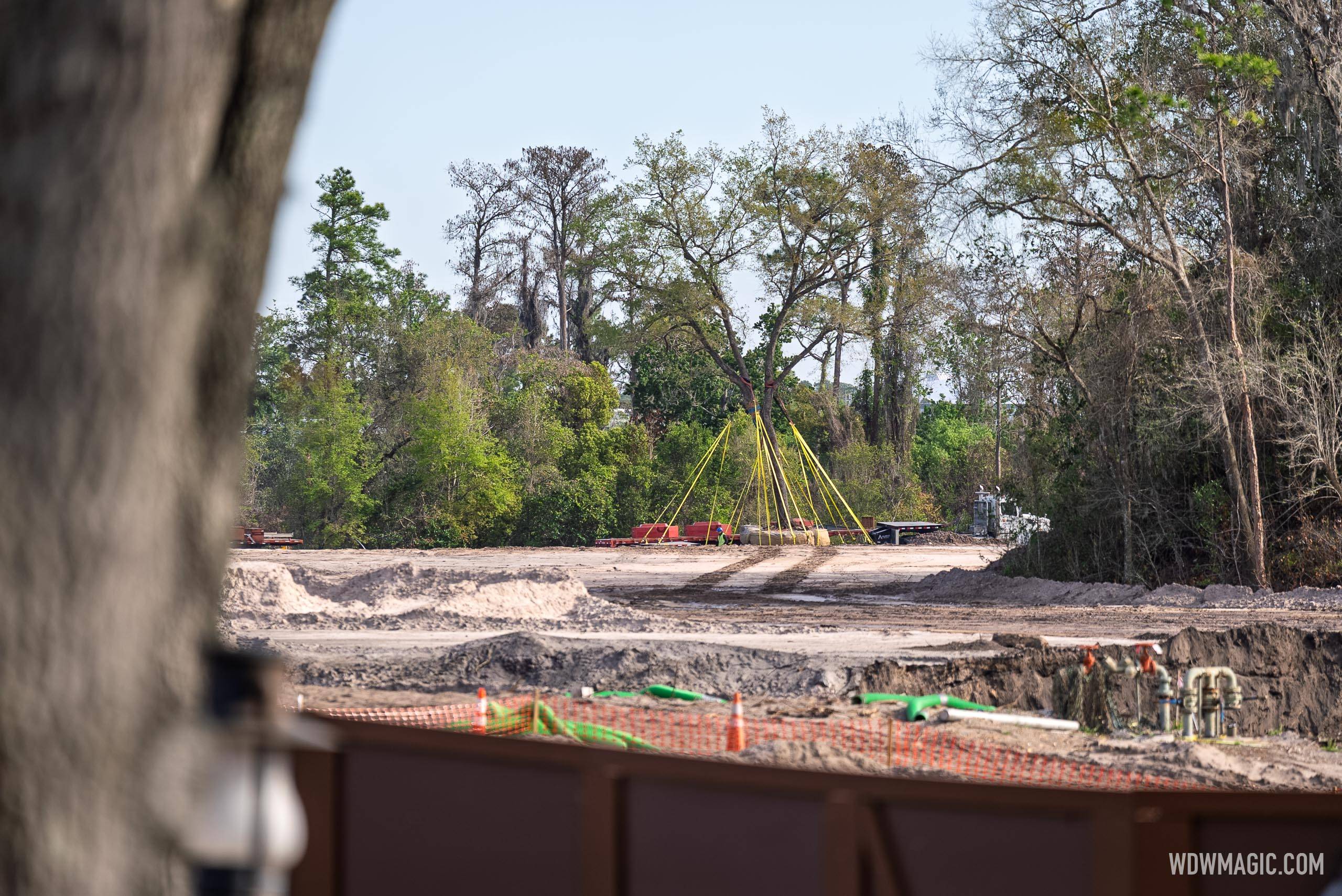 Disney Relocating Mature Oak Trees from Villains Land Construction Site