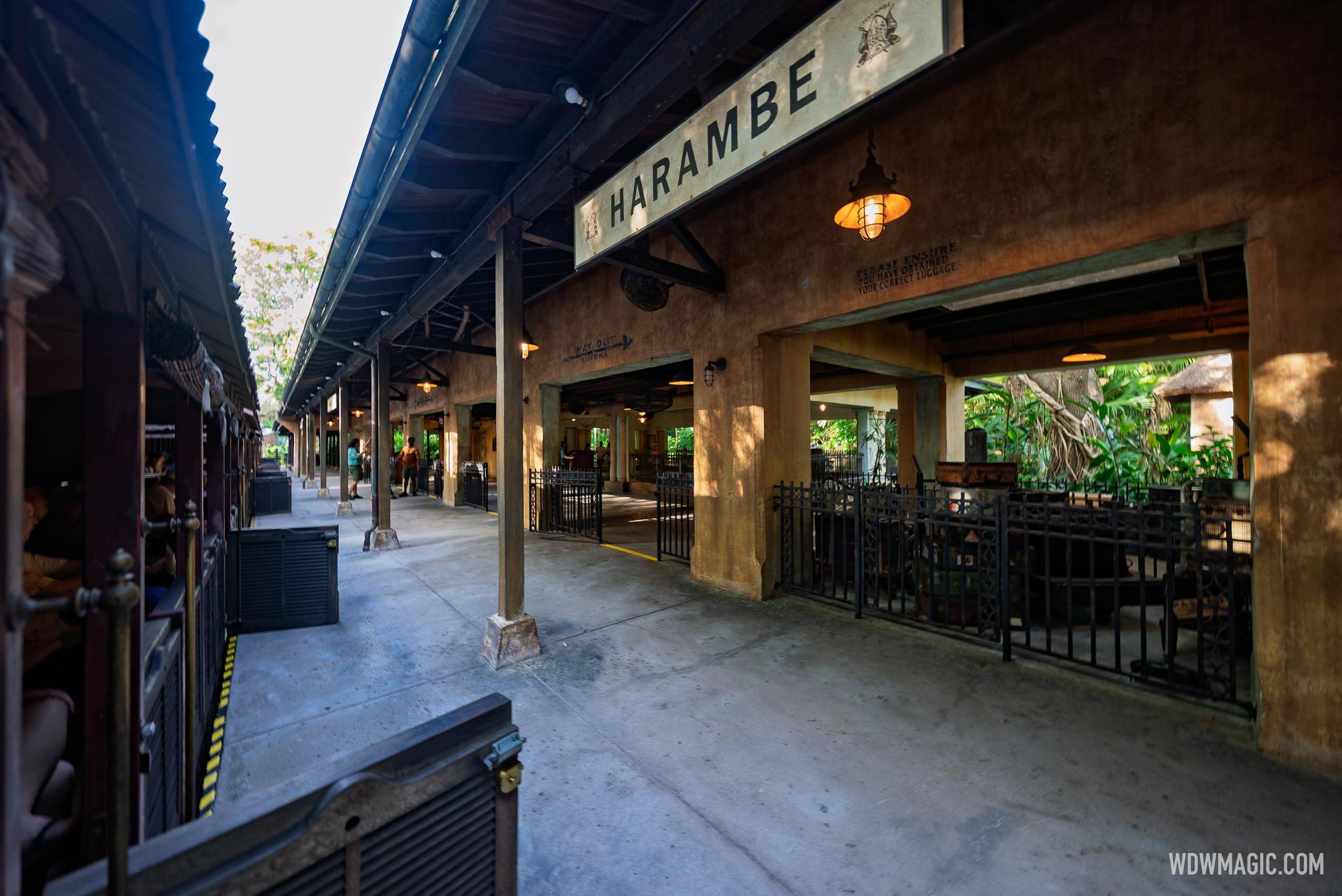 Wildlife Express Train Reopens with New Bluey Soundtrack at Disney's Animal Kingdom — Full Ride Video