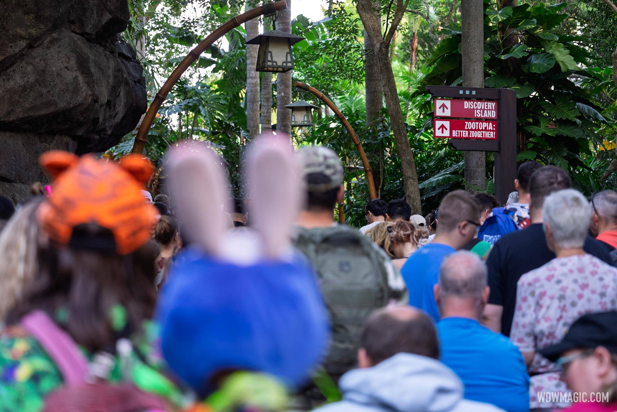 Zootopia: Better Zoogether Opening Day