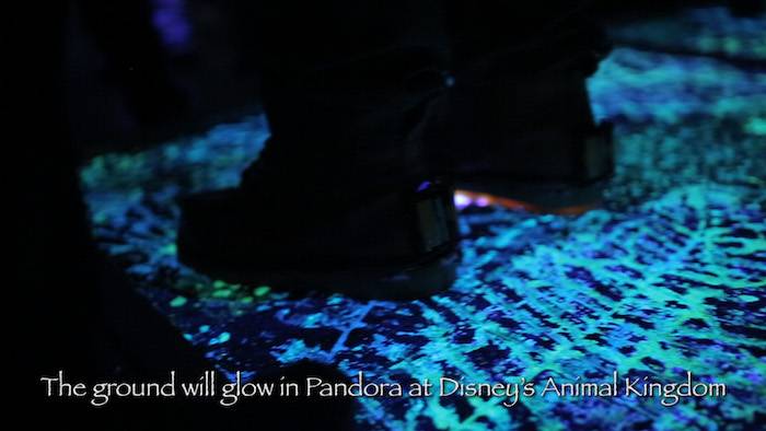 PHOTOS - Disney shares images of Pandora's bioluminescent flora