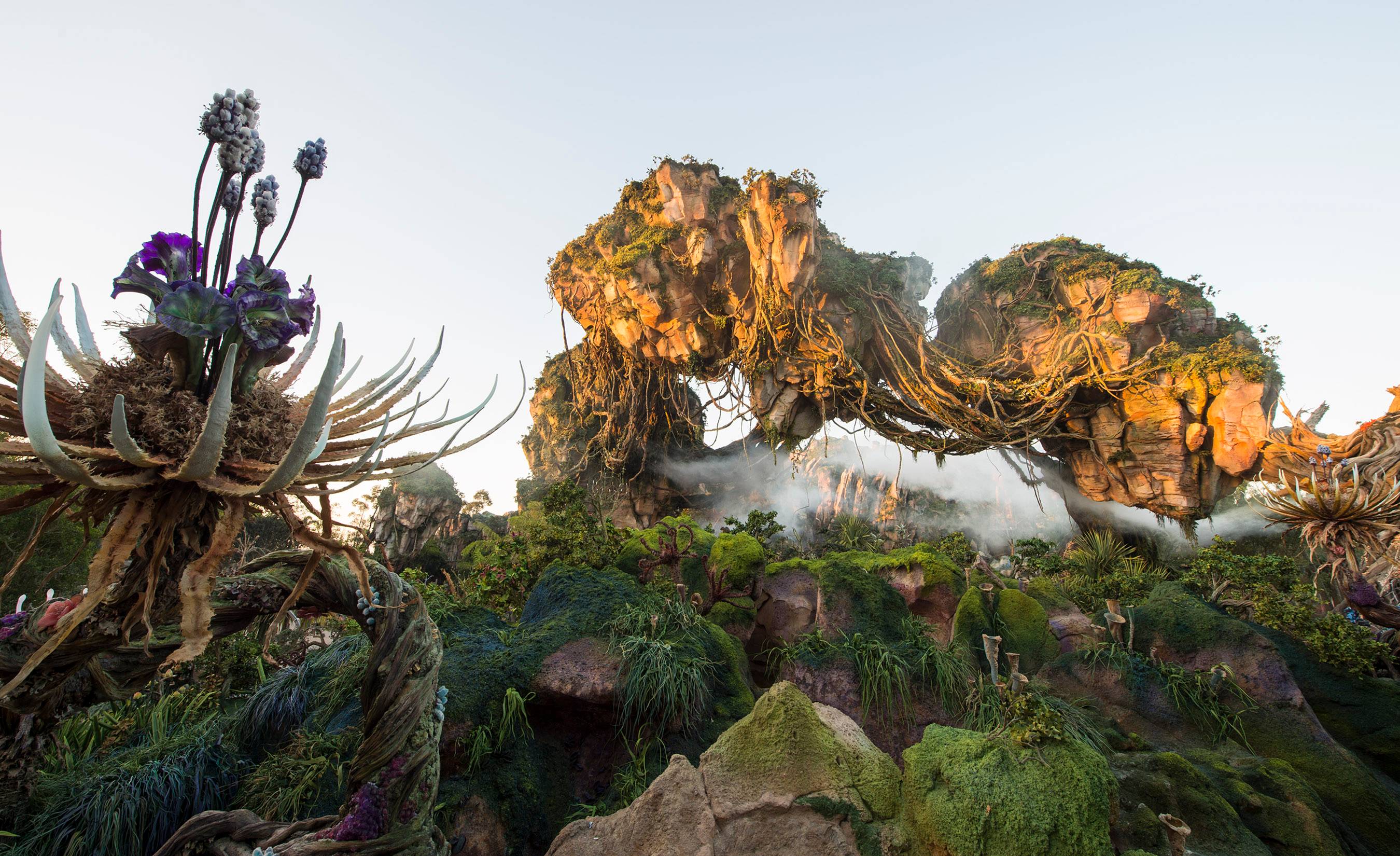 PHOTO - New shot from inside Pandora - The World of Avatar and description of the land