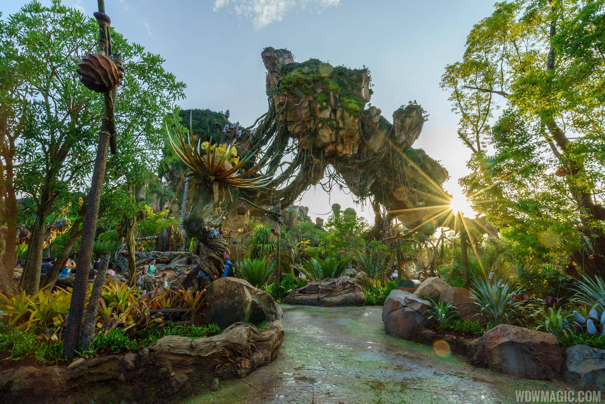 Both of Pandora's attractions are posting significant standby wait times this week