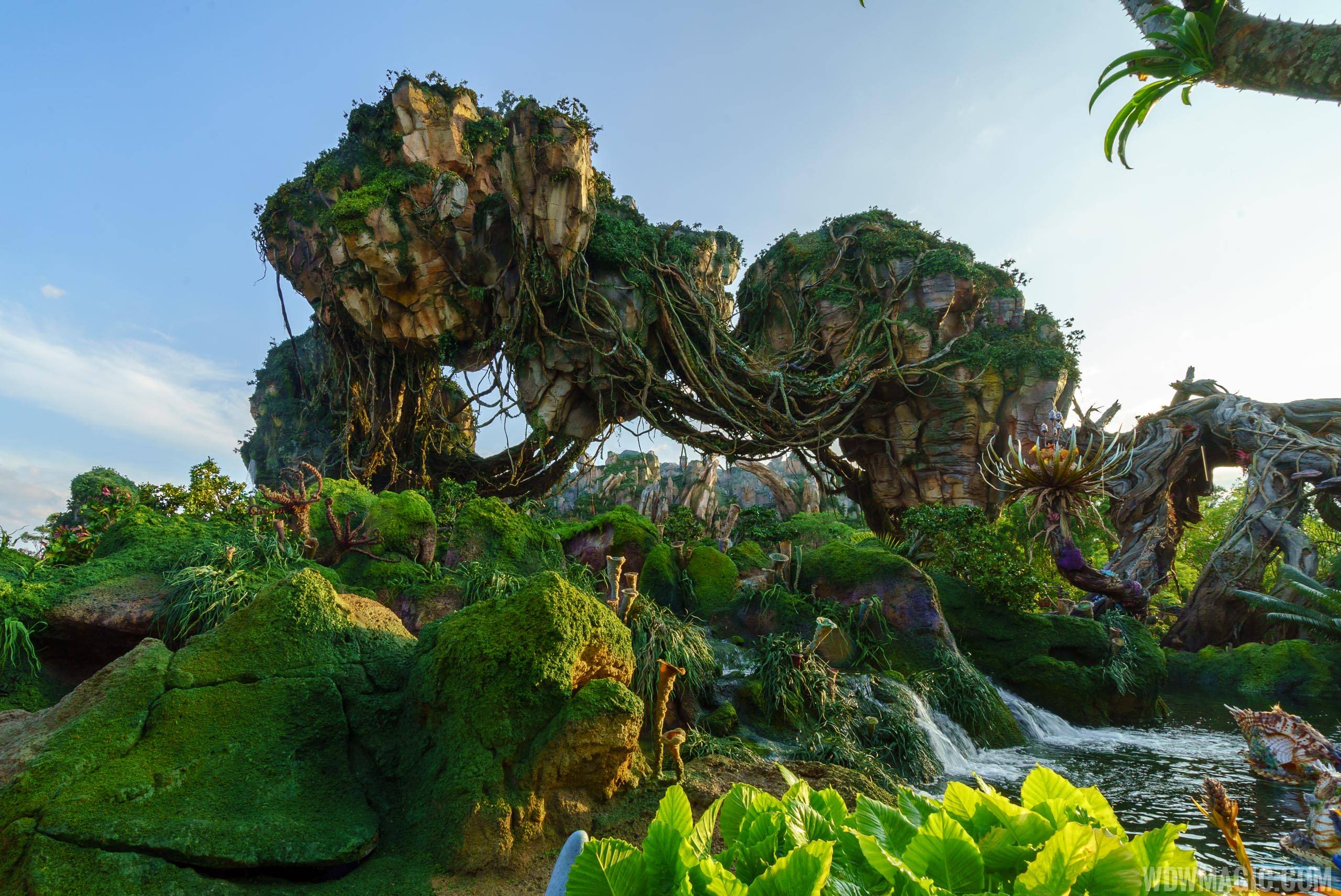 The Landscape of Pandora - The World of Avatar