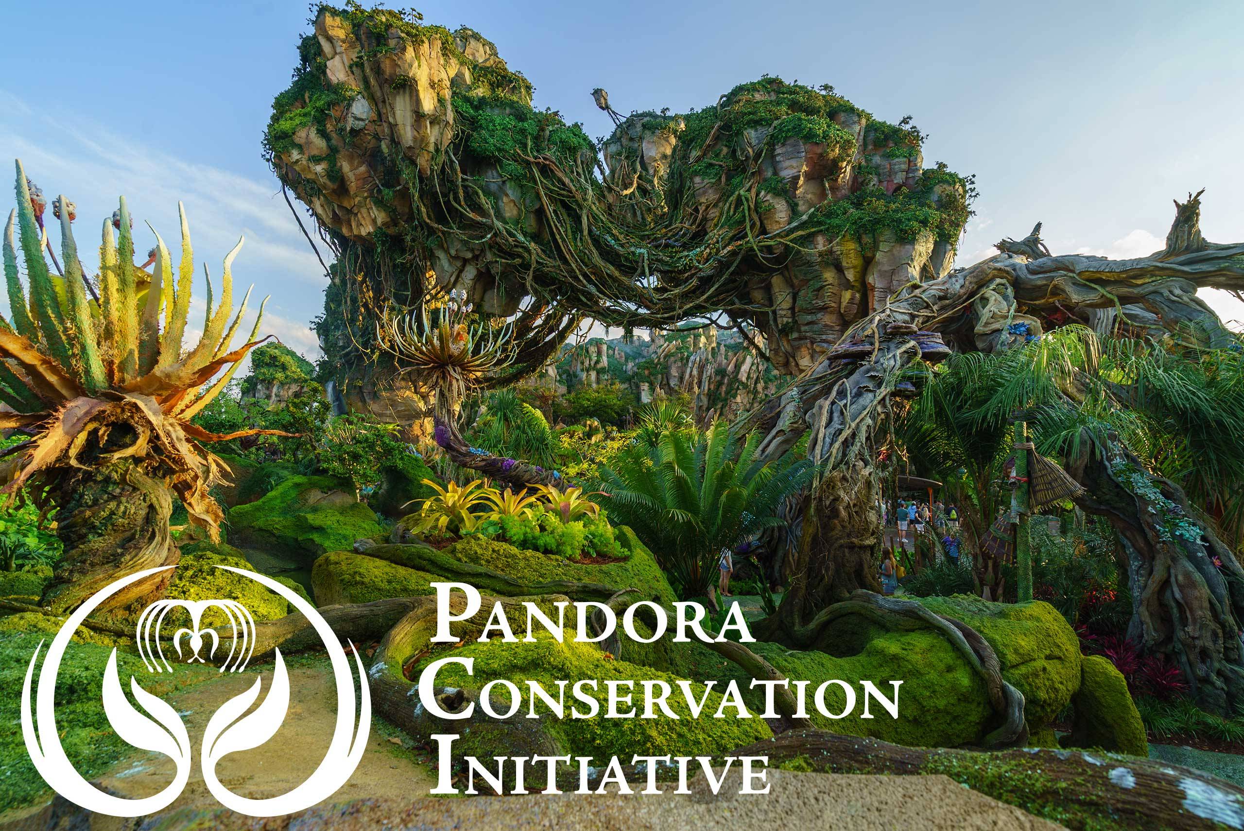 The Pandora Conservation Intiative