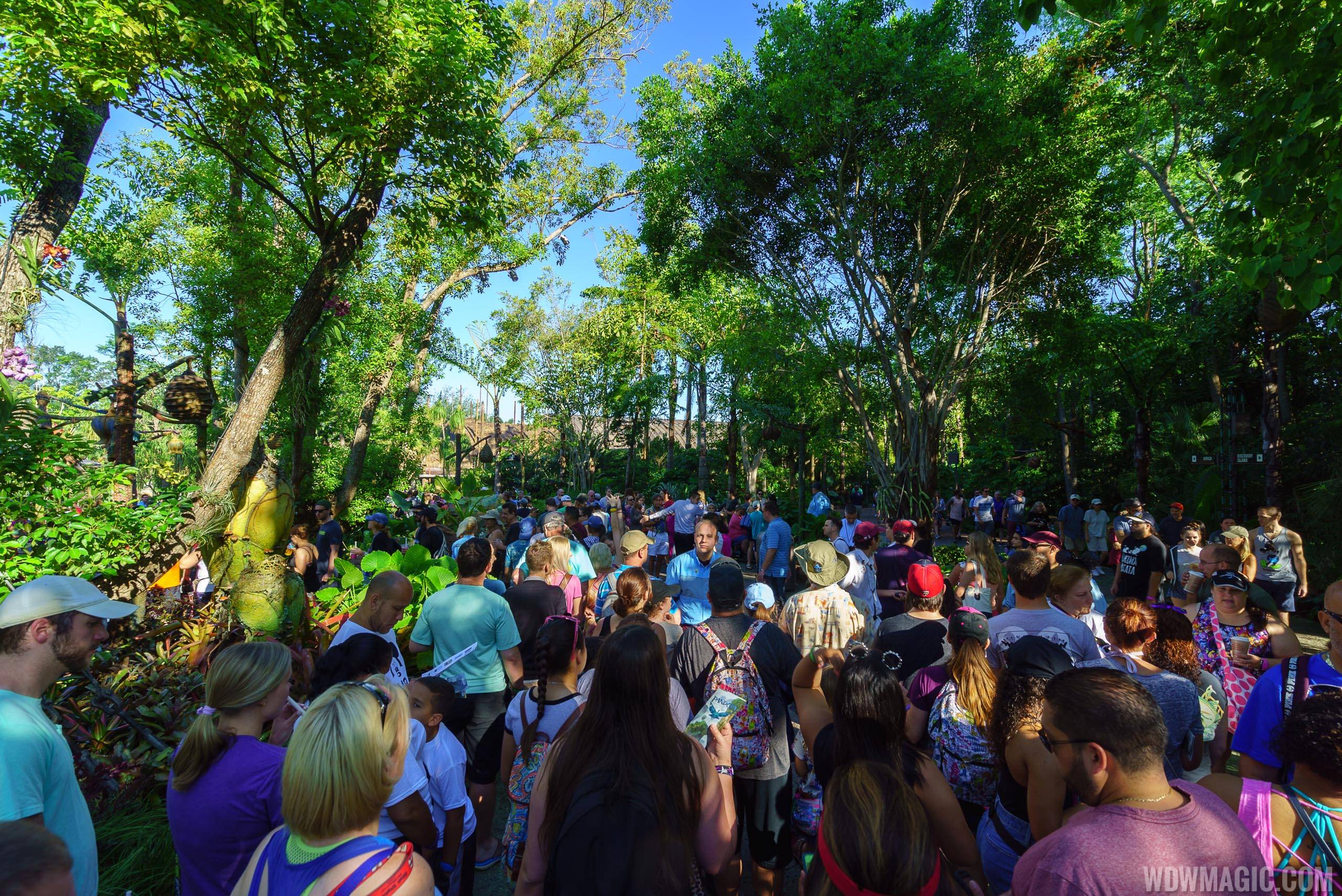 Opening day crowds at Pandora - The World of Avatar