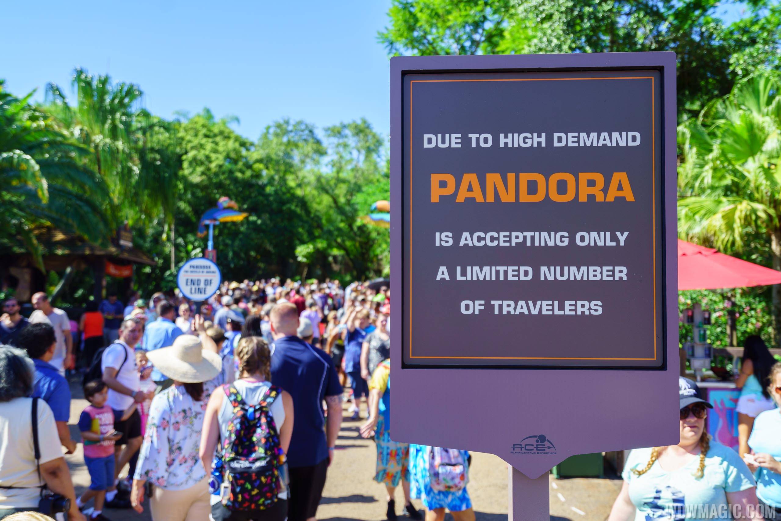PHOTOS and VIDEO - A look at opening day crowds for Pandora - The World of Avatar