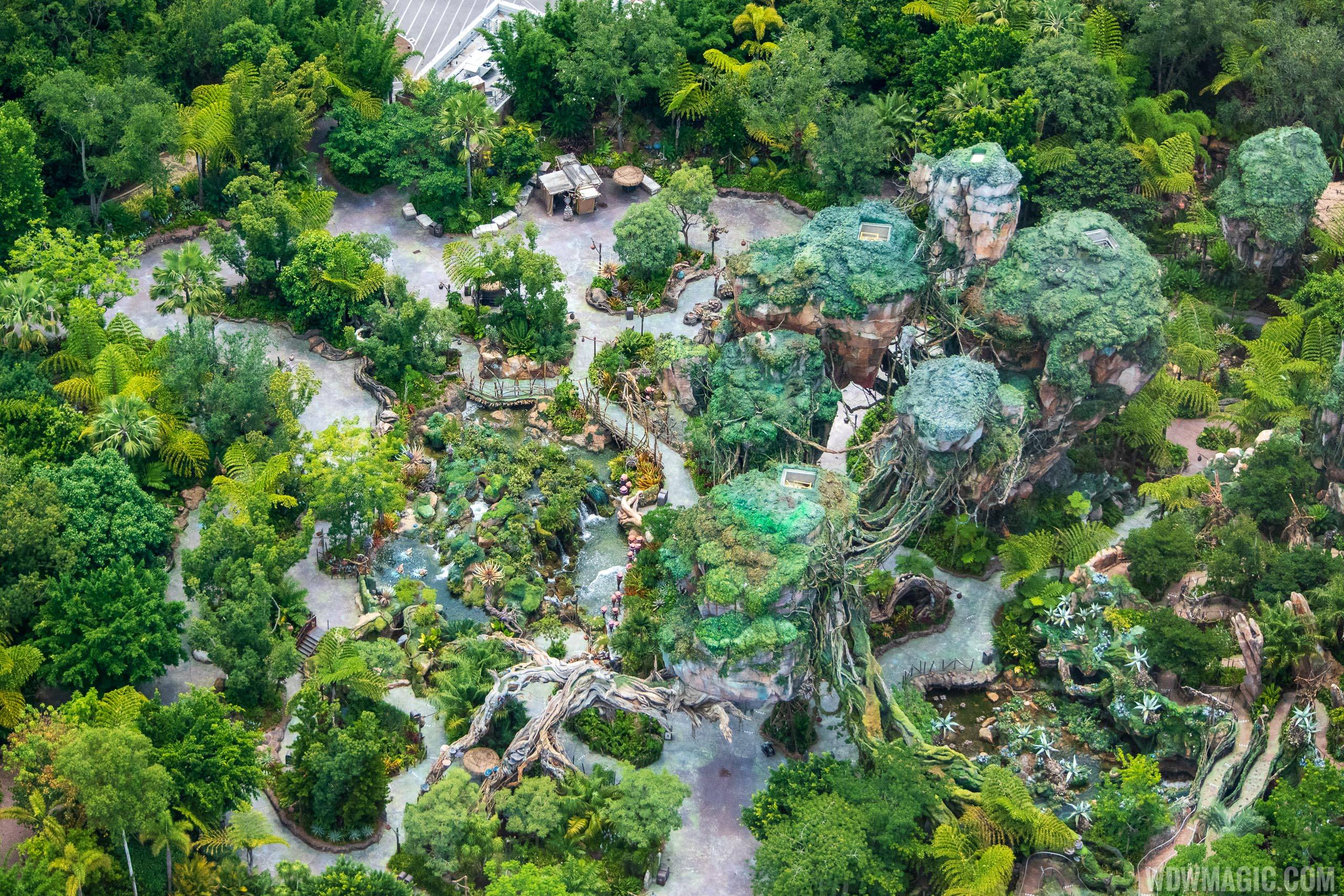 Disney's Animal Kingdom gains extra time at opening and close