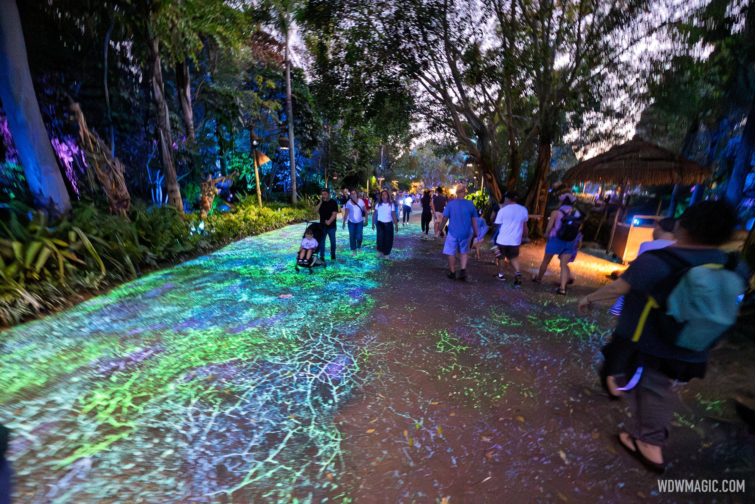 Pandora Walkway Bioluminescence Refurbishment - Before and After Photos - January 2026