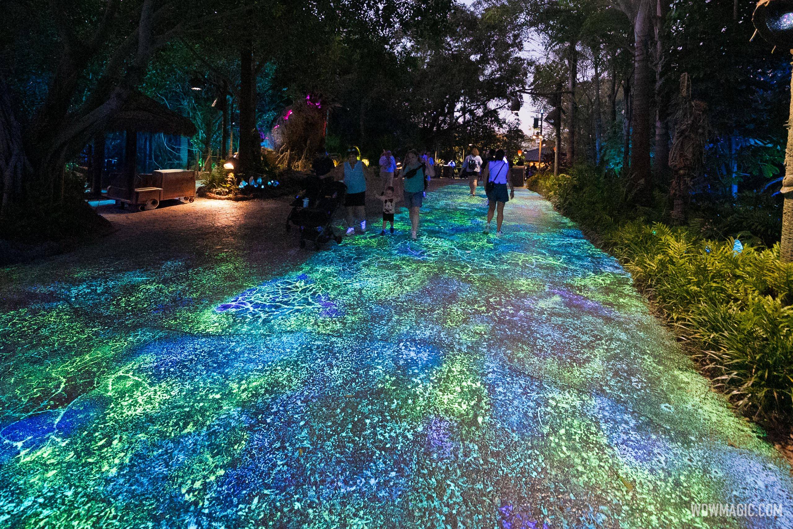 Pandora Walkway Bioluminescence Refurbishment - Before and After Photos - January 2026