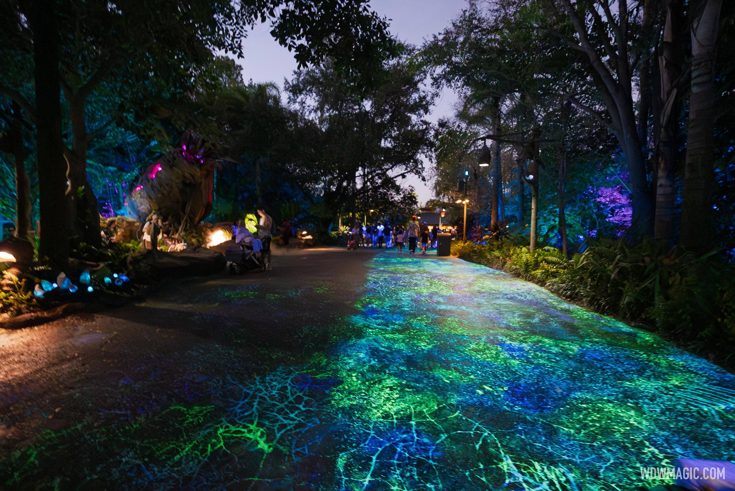 Pandora Walkway Bioluminescence Refurbishment - Before and After Photos - January 2026